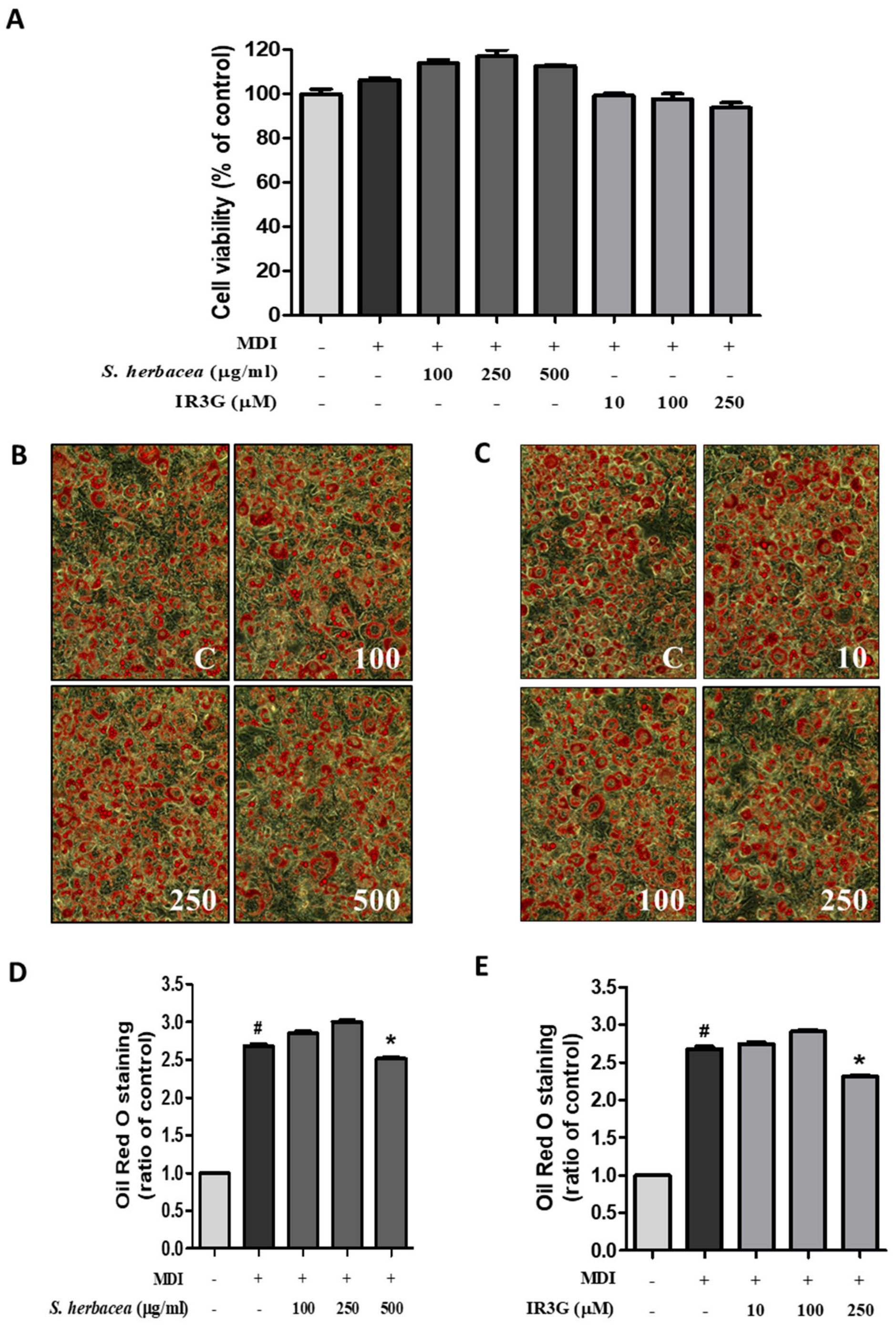 Processes 11 00977 g003 Processes 11 00977 g003