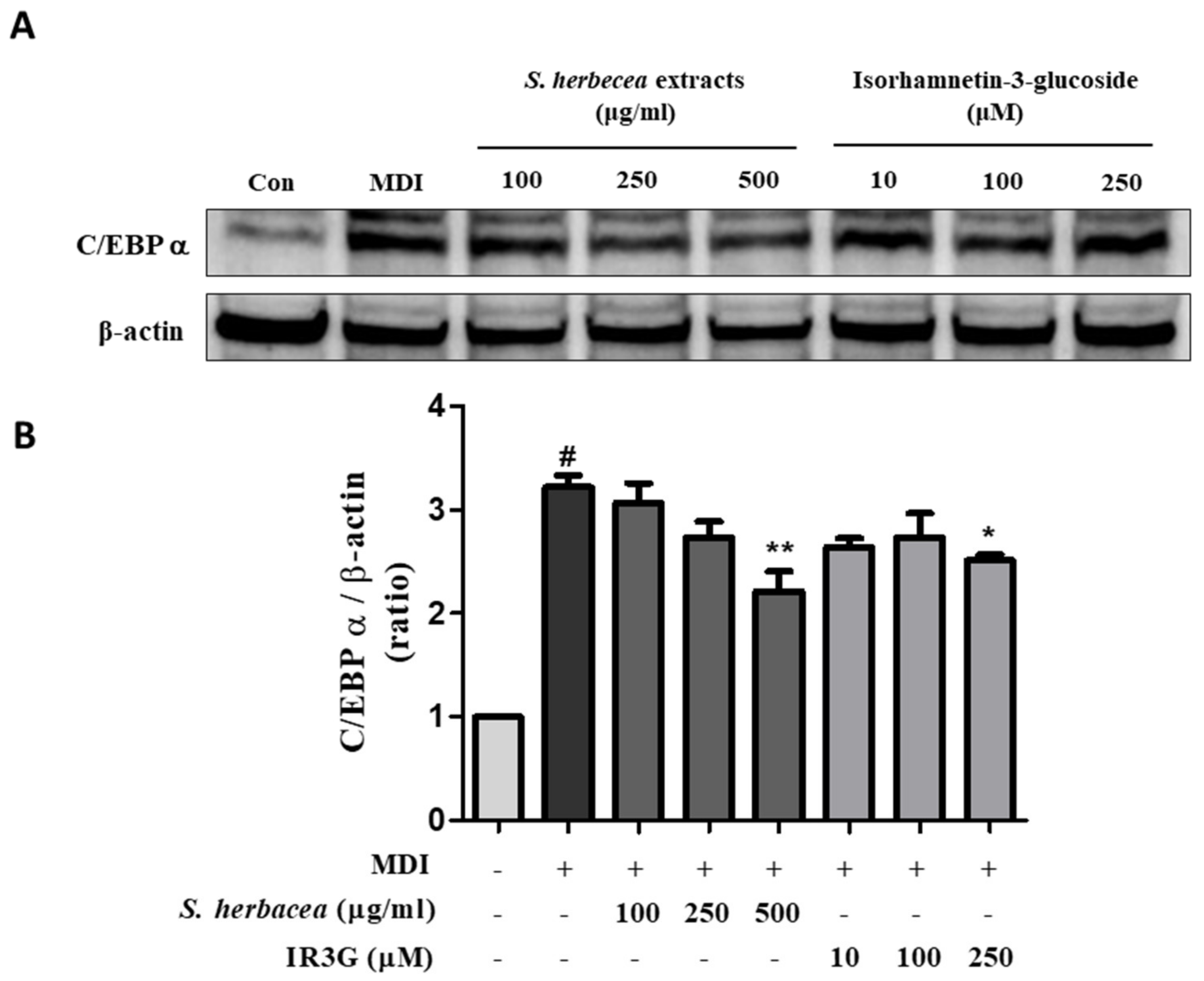 Processes 11 00977 g004 Processes 11 00977 g004
