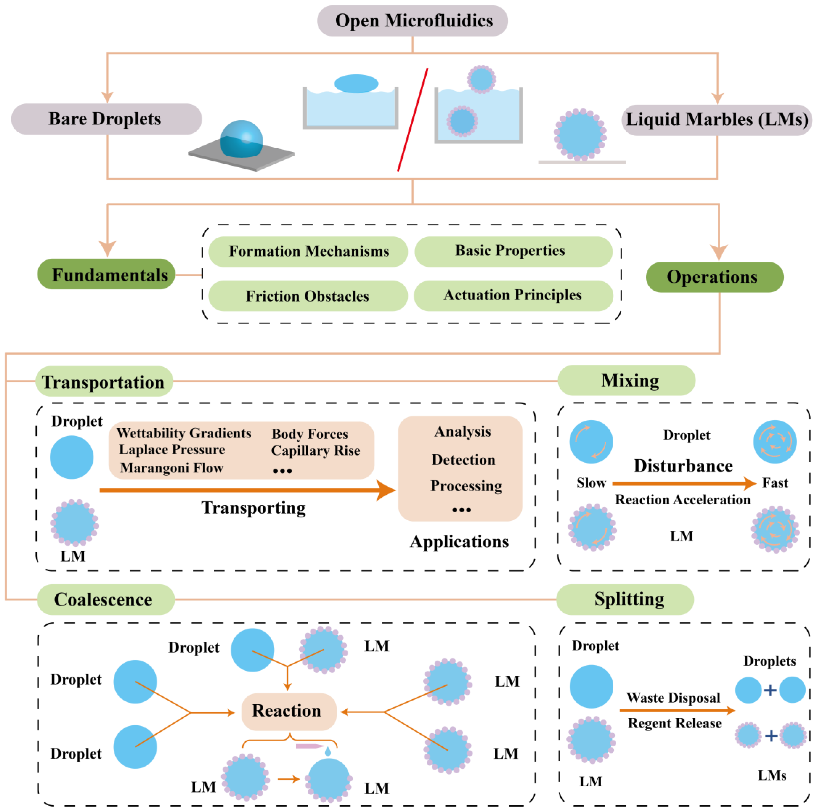 Processes 11 00983 g001