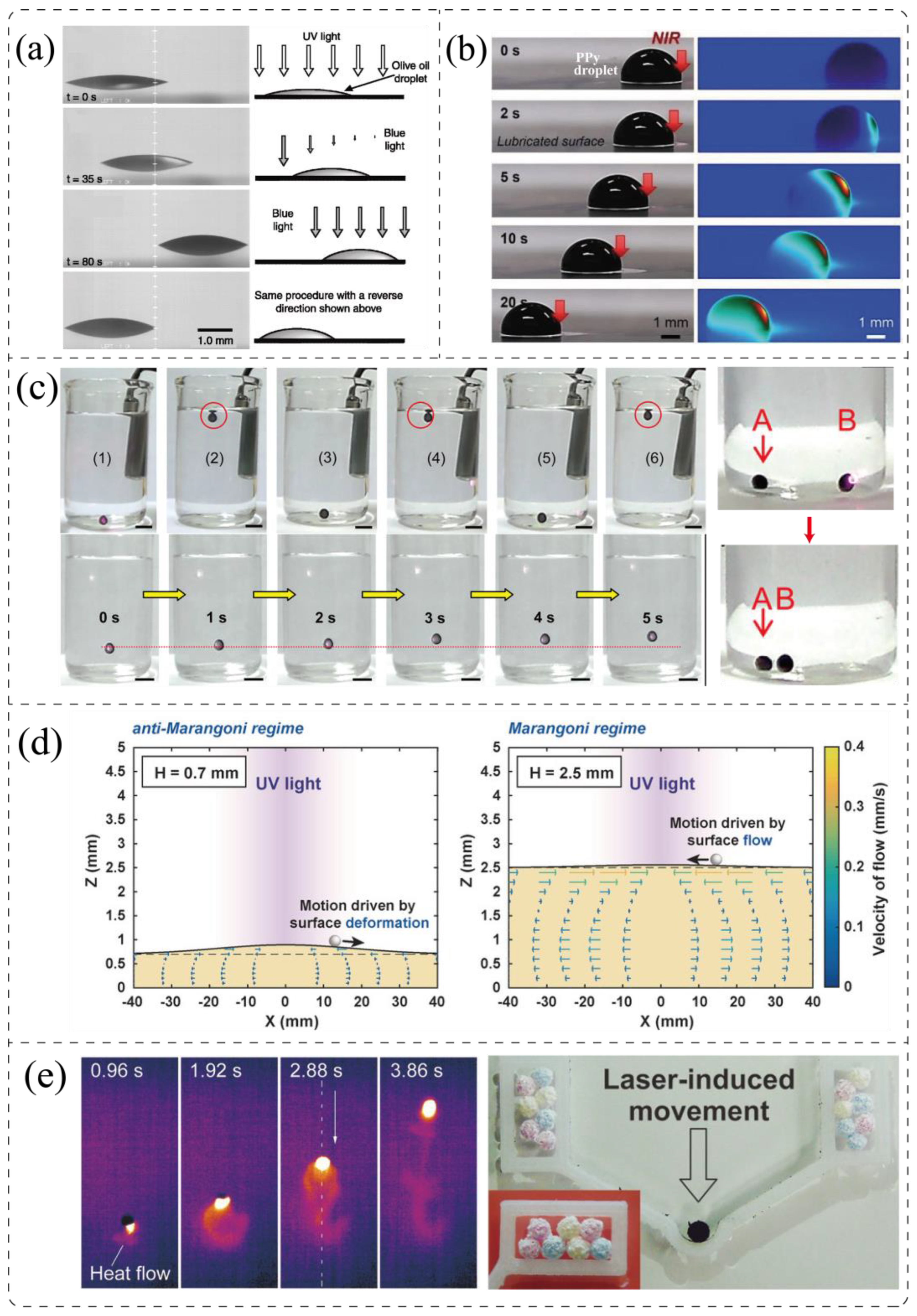Processes 11 00983 g011