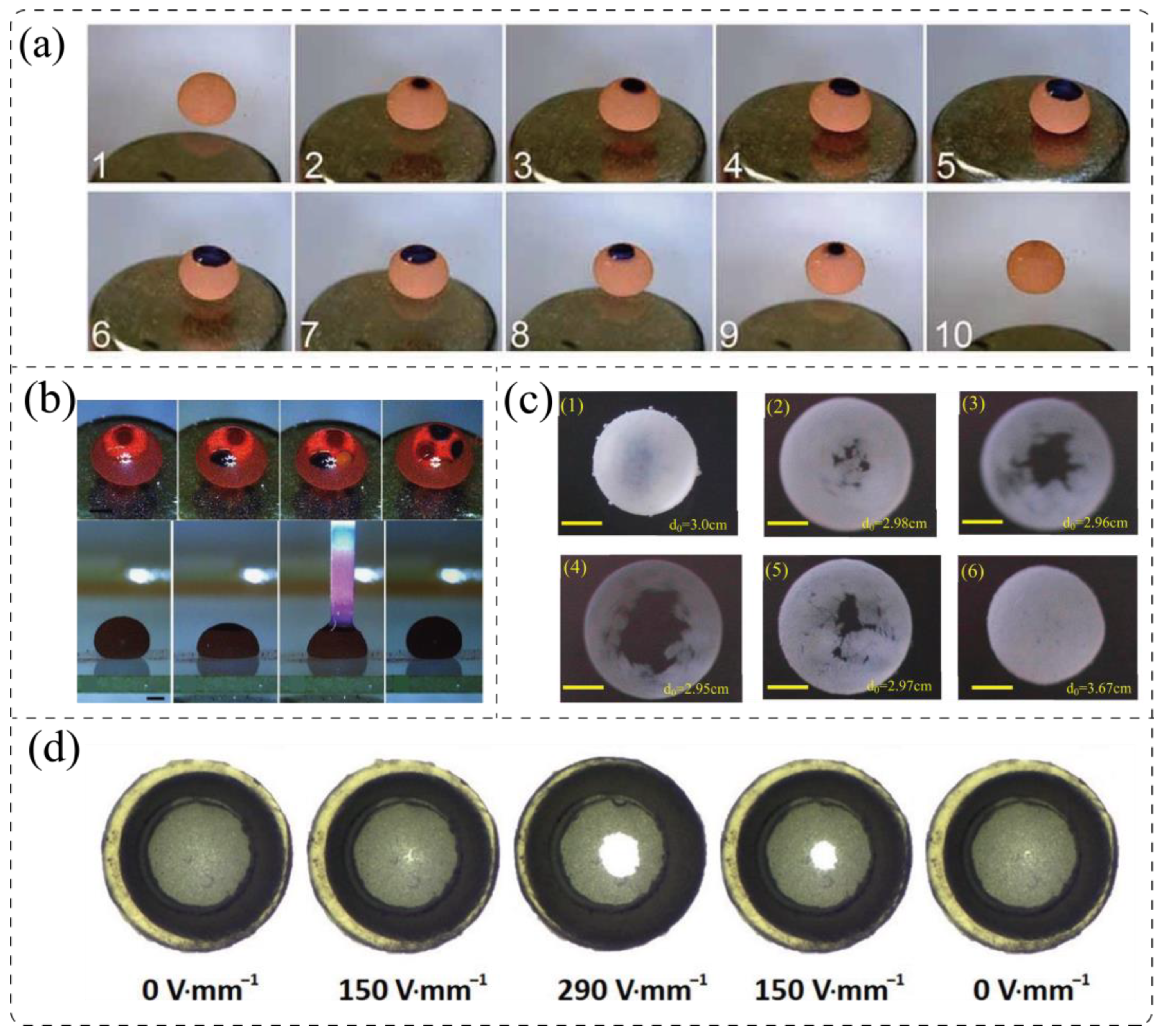 Processes 11 00983 g013