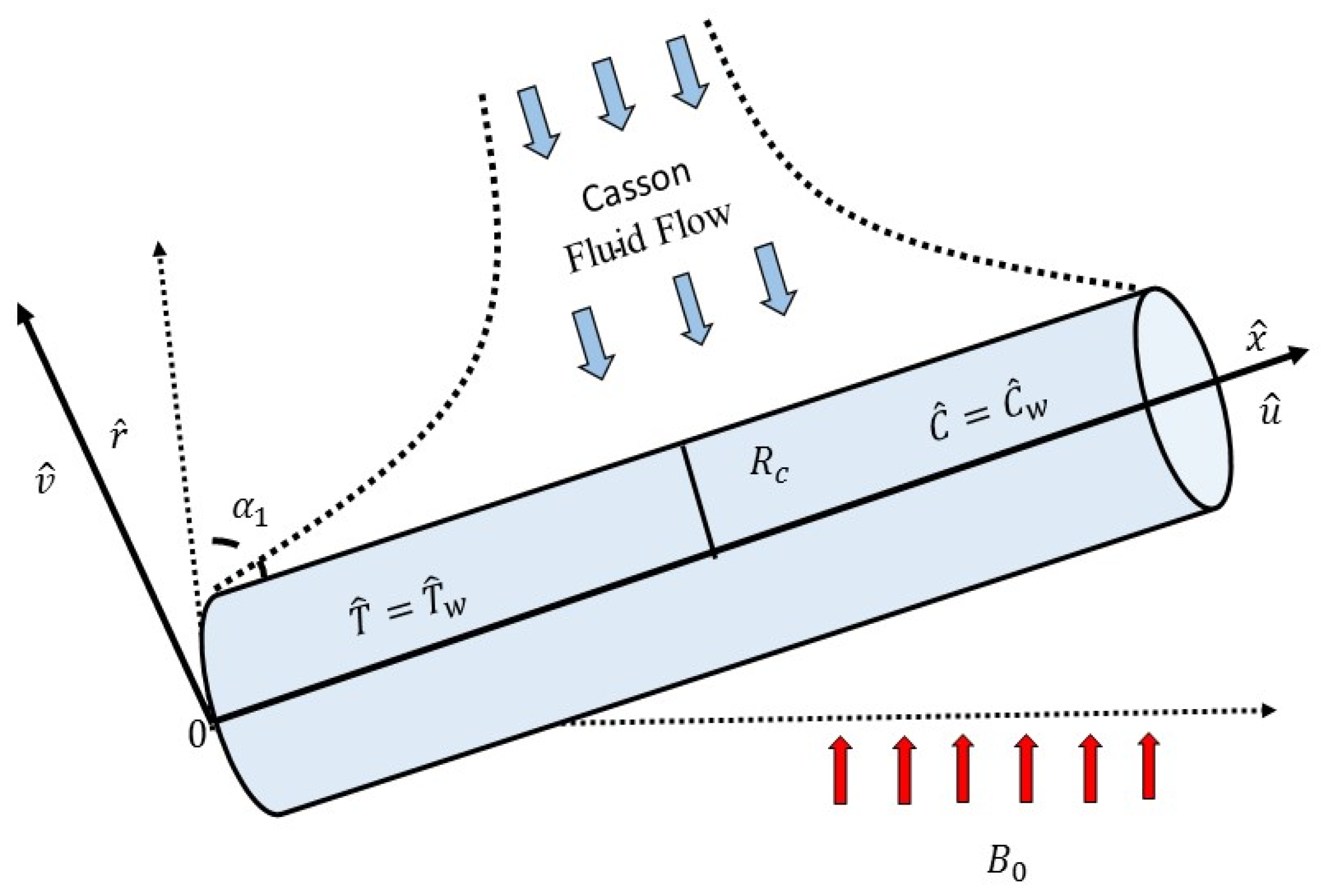 Processes Free FullText NonNewtonian Mixed Convection