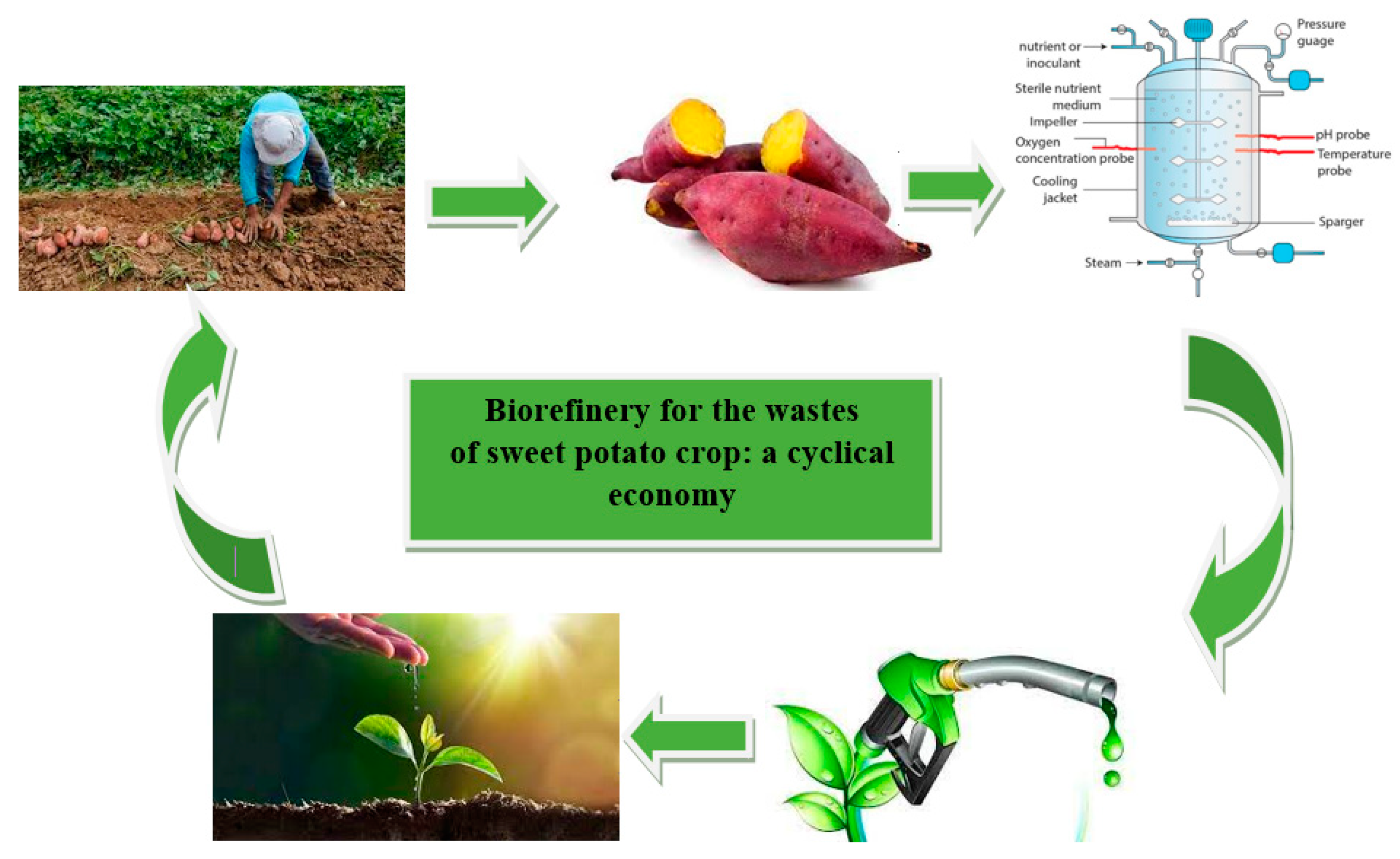 Processes 11 00992 g003