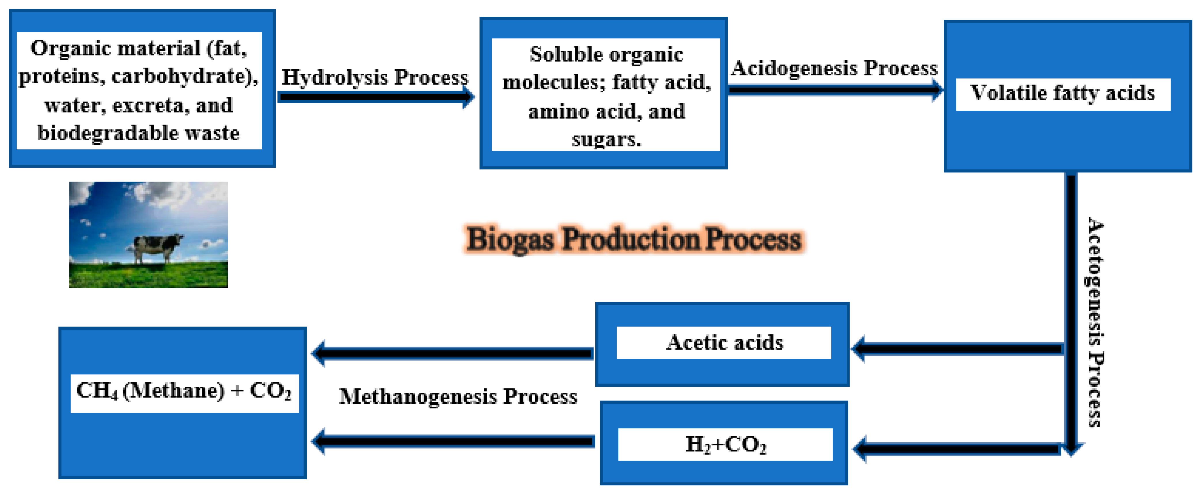 Processes 11 00992 g013