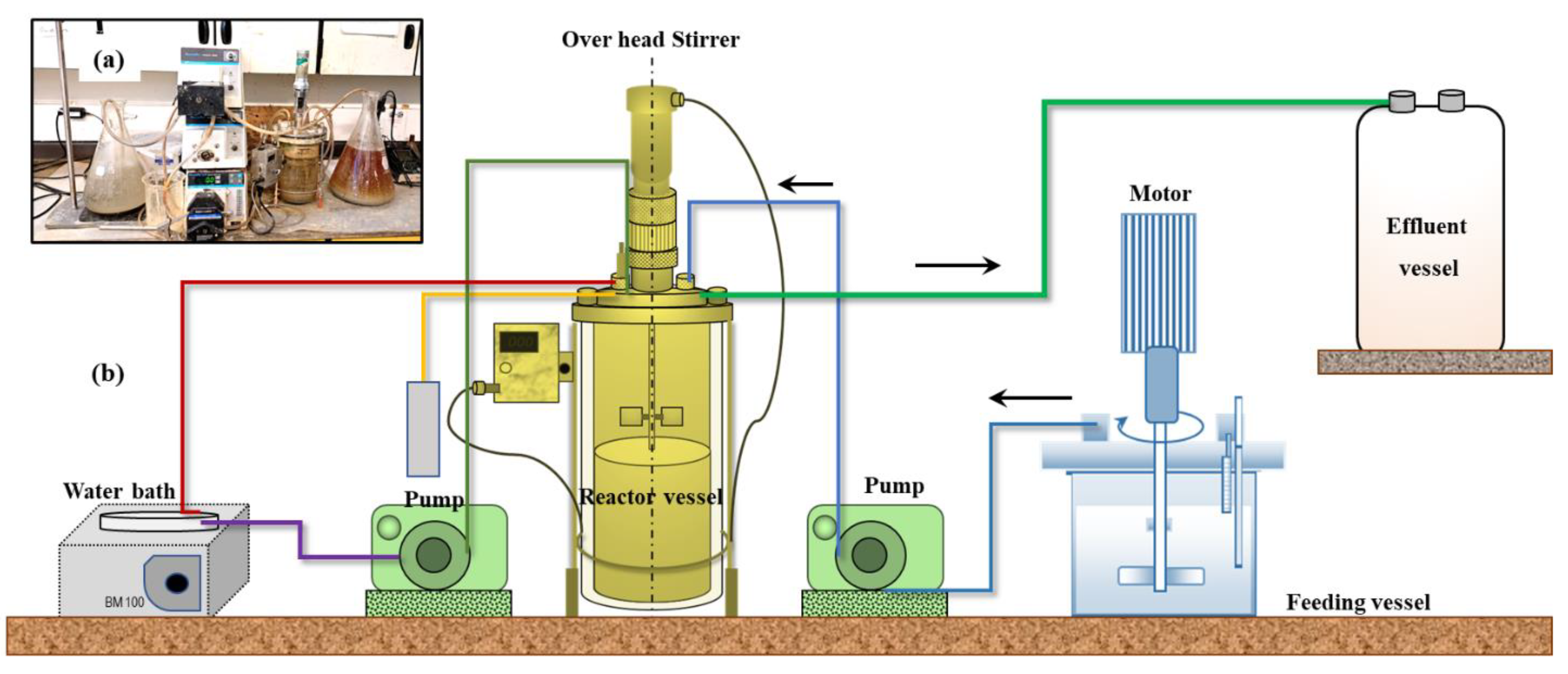 Processes 11 01005 g001 Processes 11 01005 g001