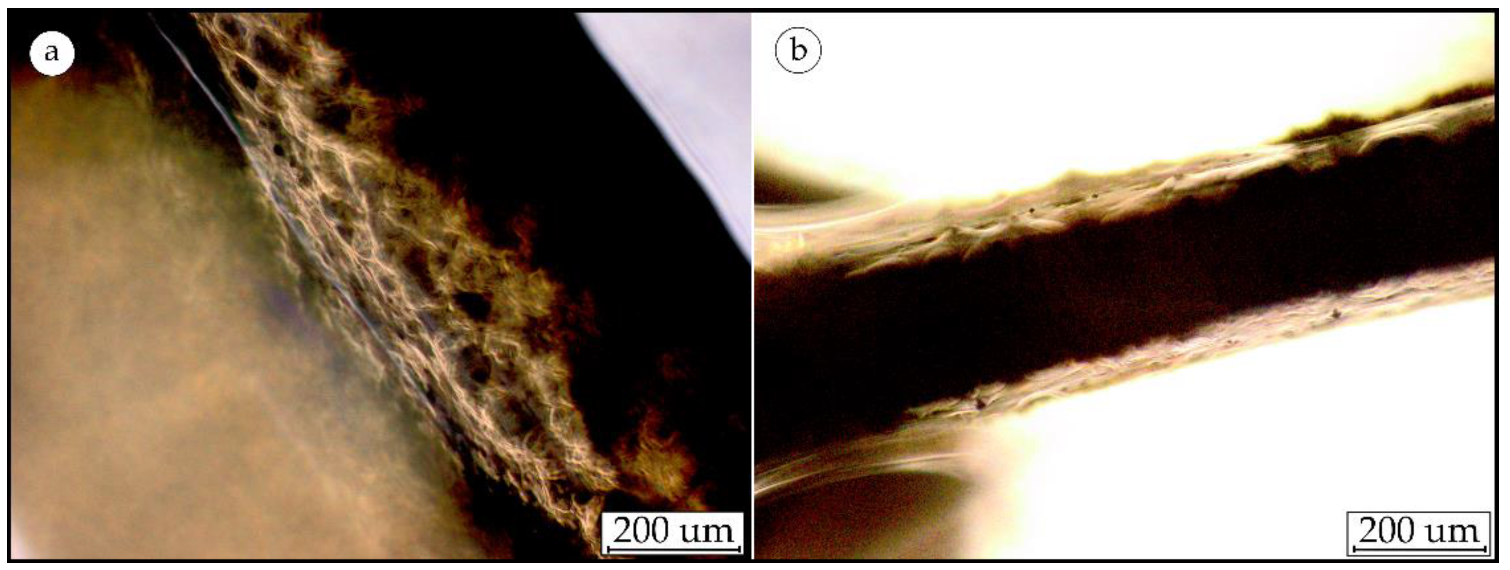 Processes 11 01013 g008