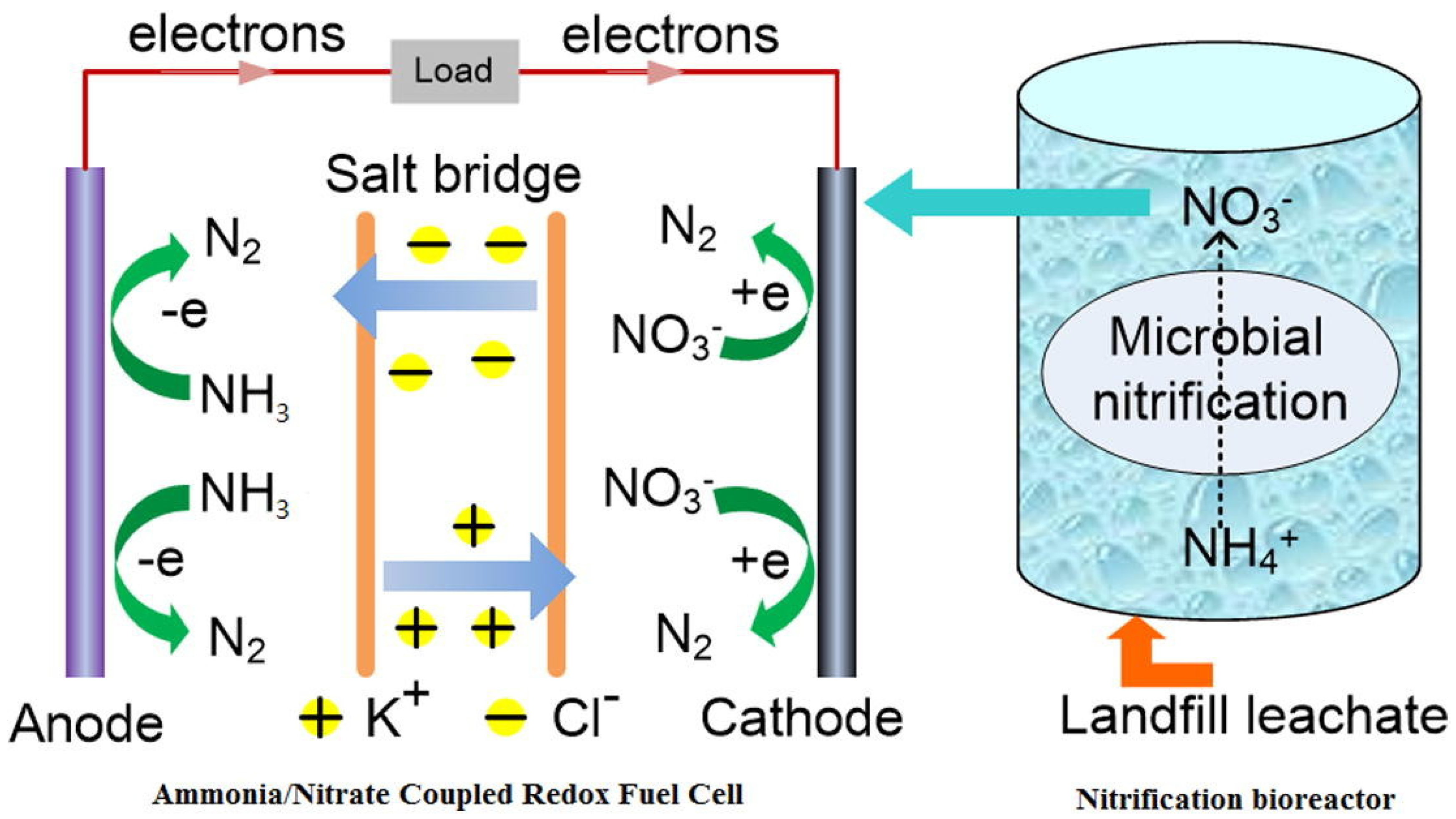Processes 11 01096 g003