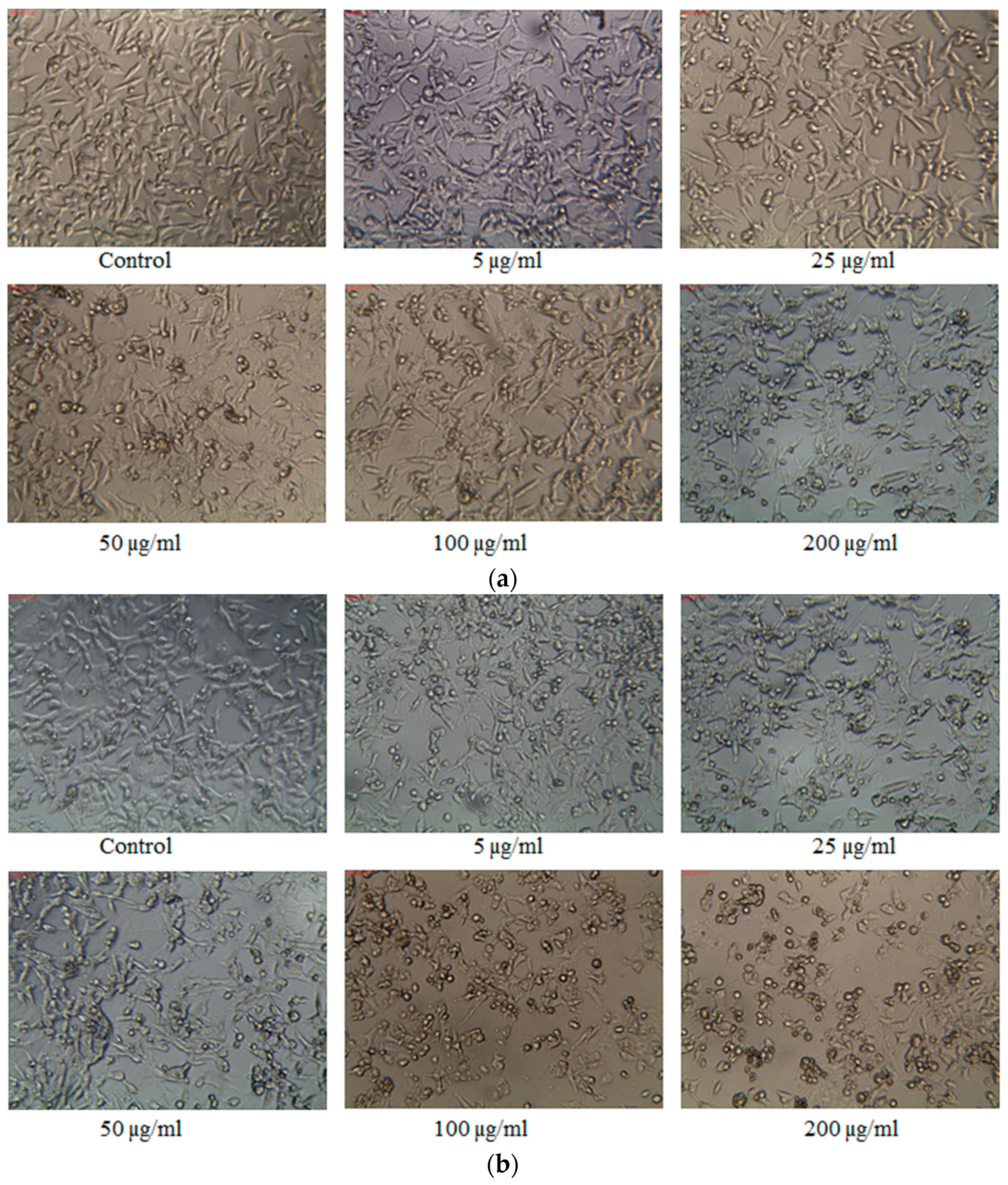 Processes 11 01111 g006