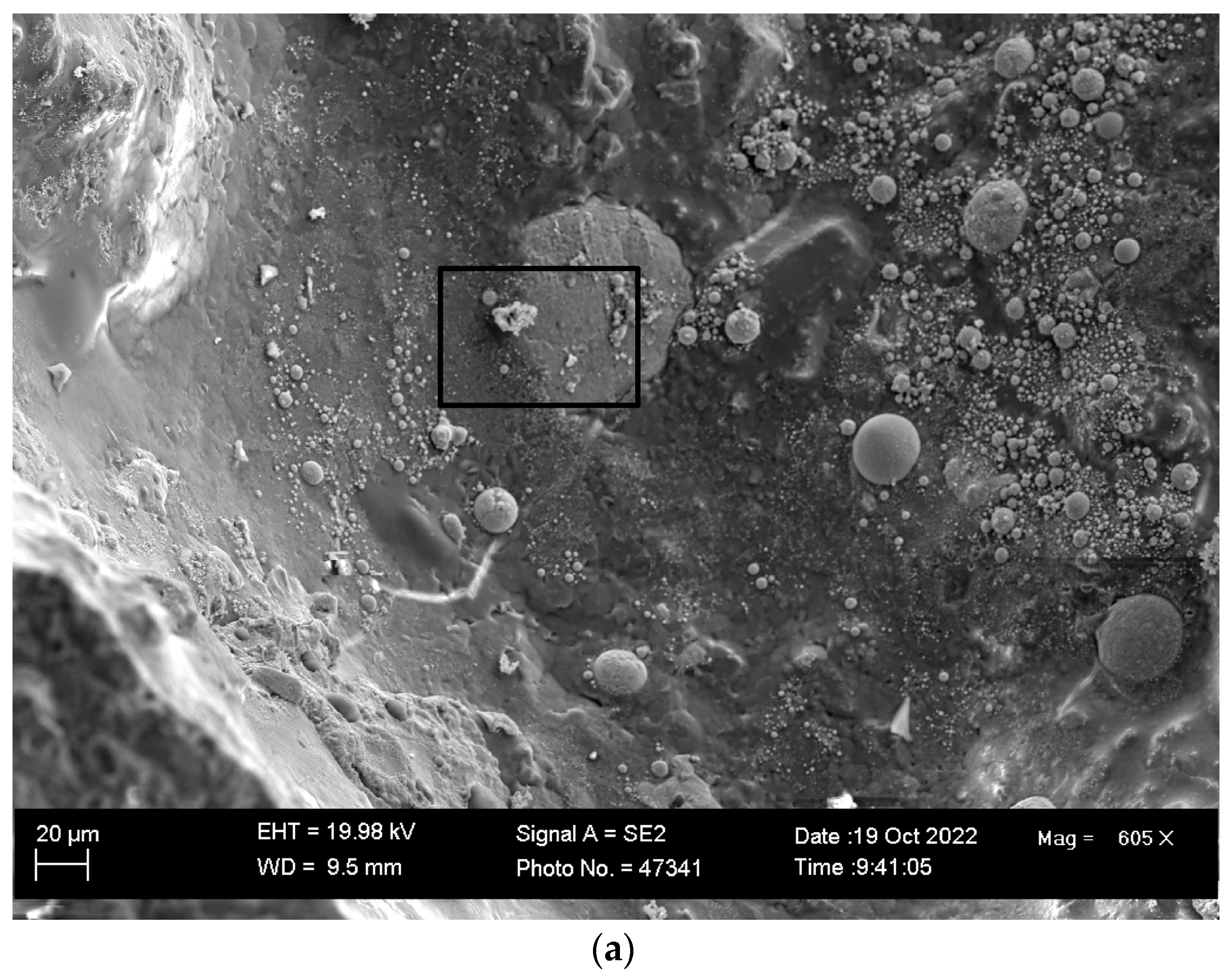 Processes 11 01116 g004a