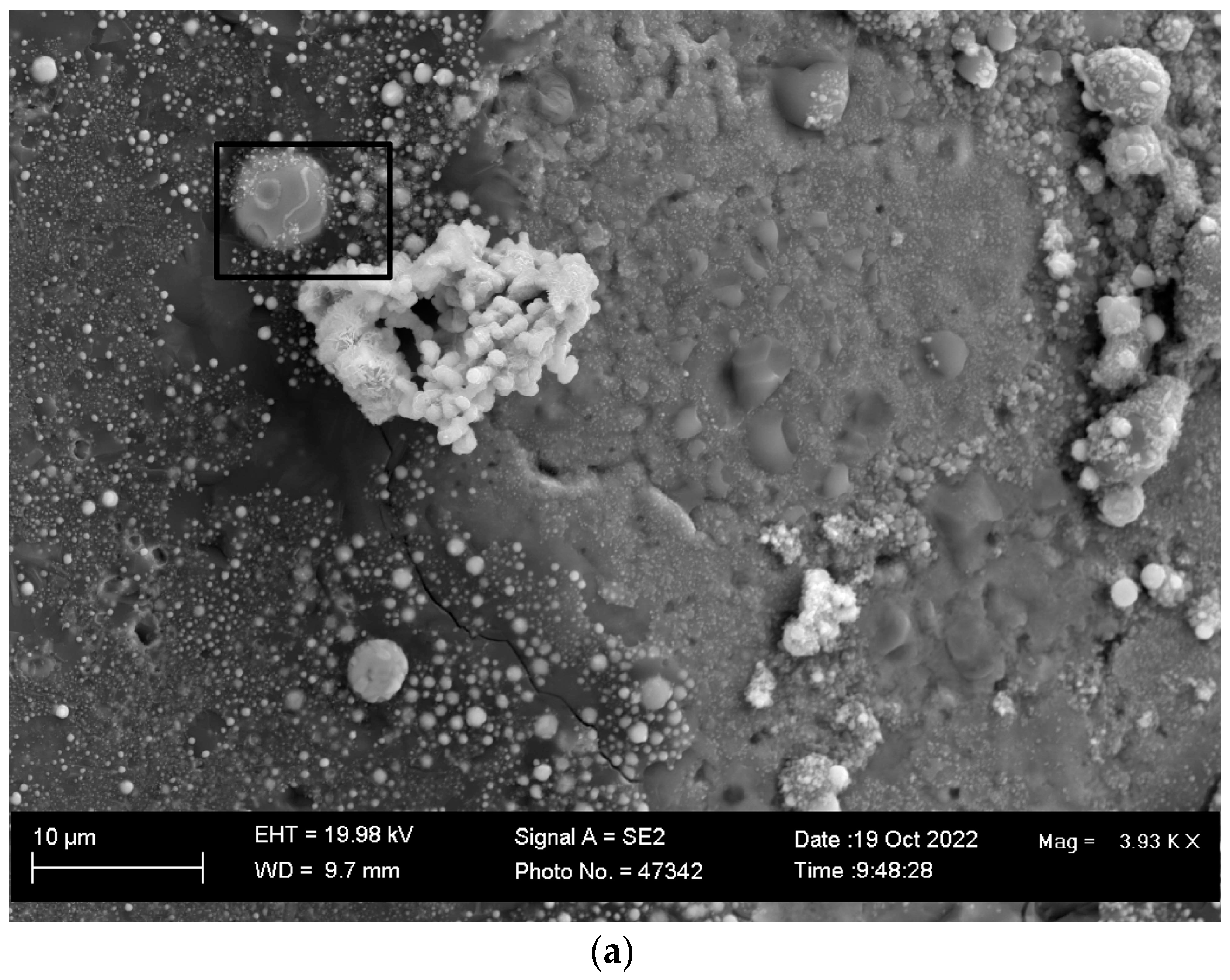 Processes 11 01116 g005a