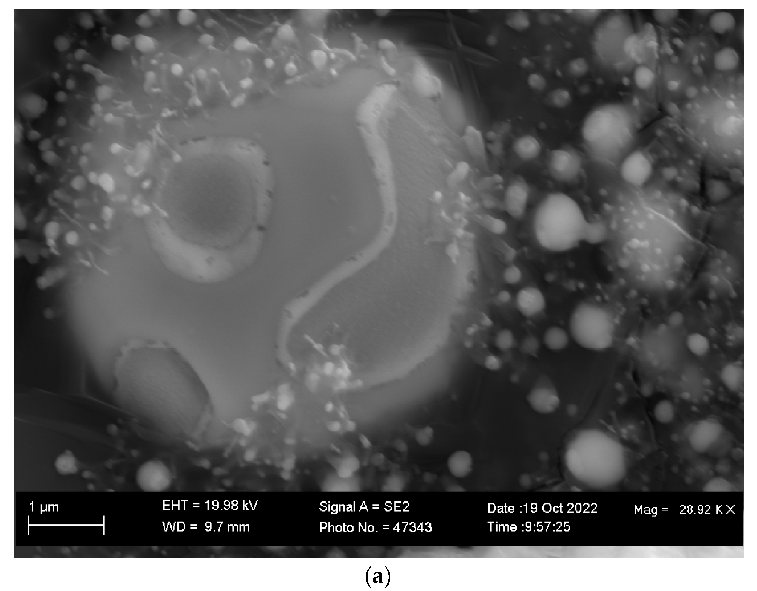 Processes 11 01116 g006a