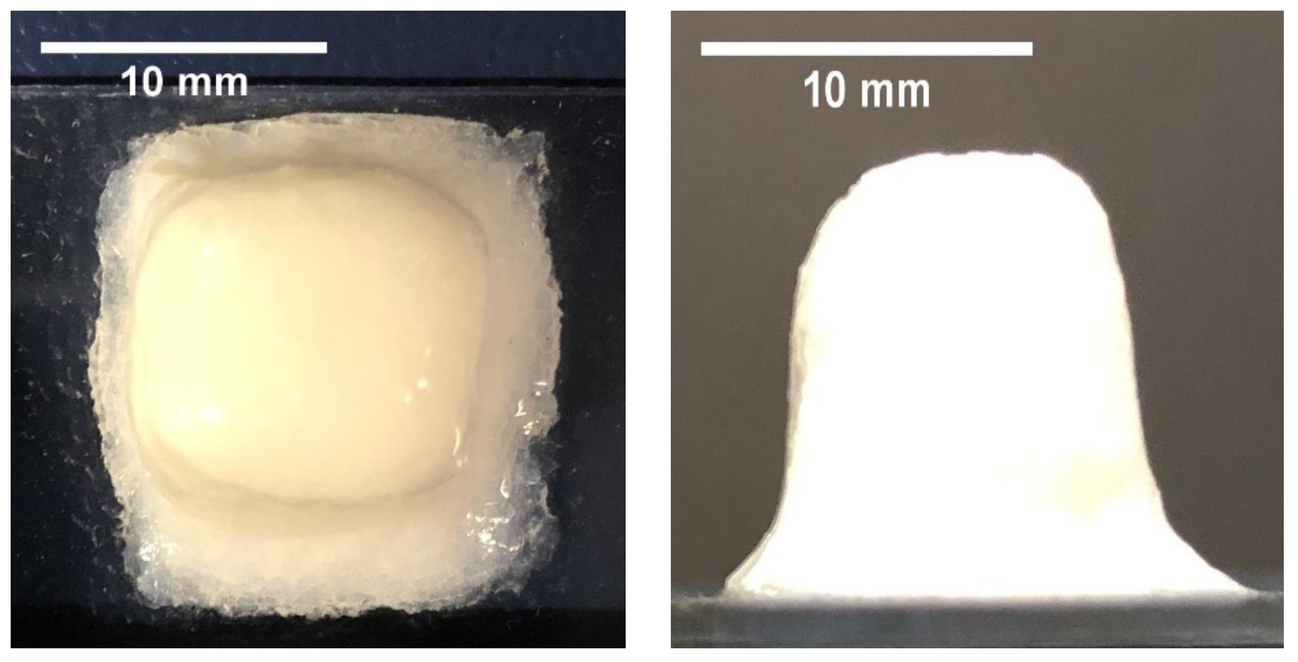 Processes 11 01143 g005