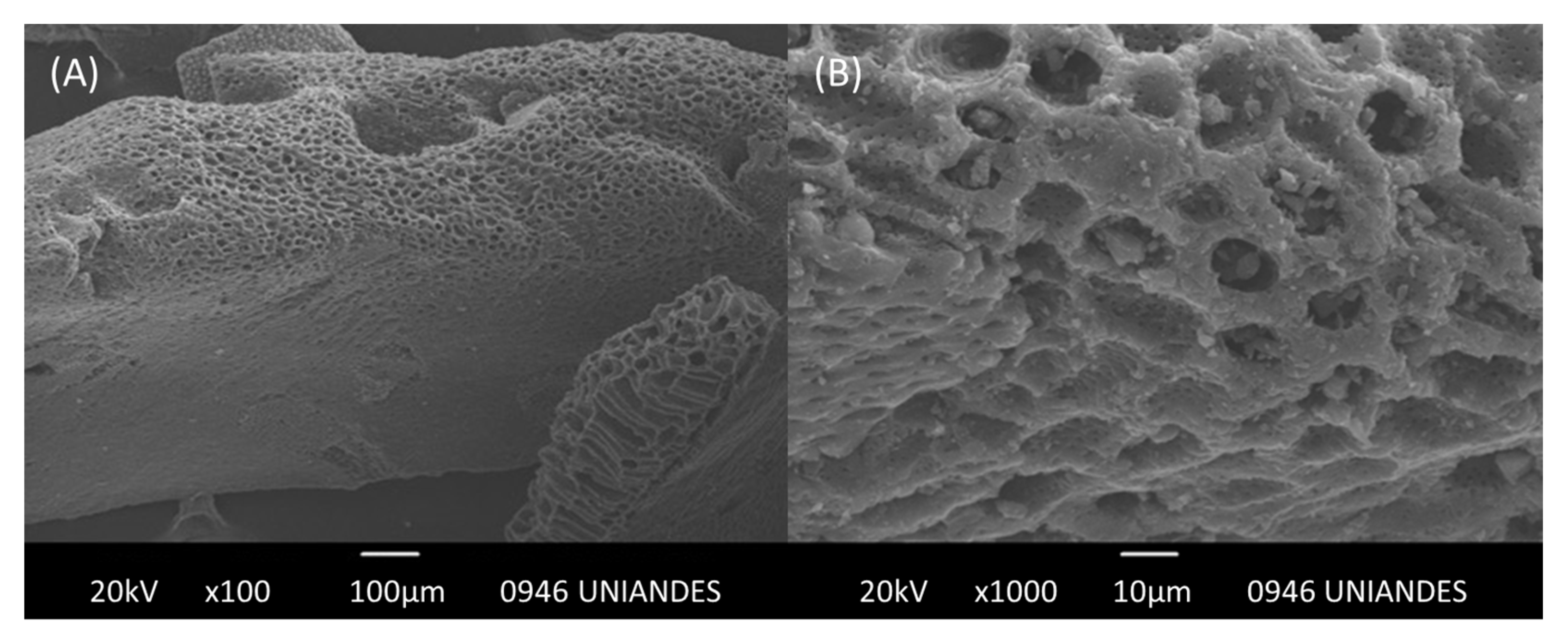 Processes 11 01144 g005