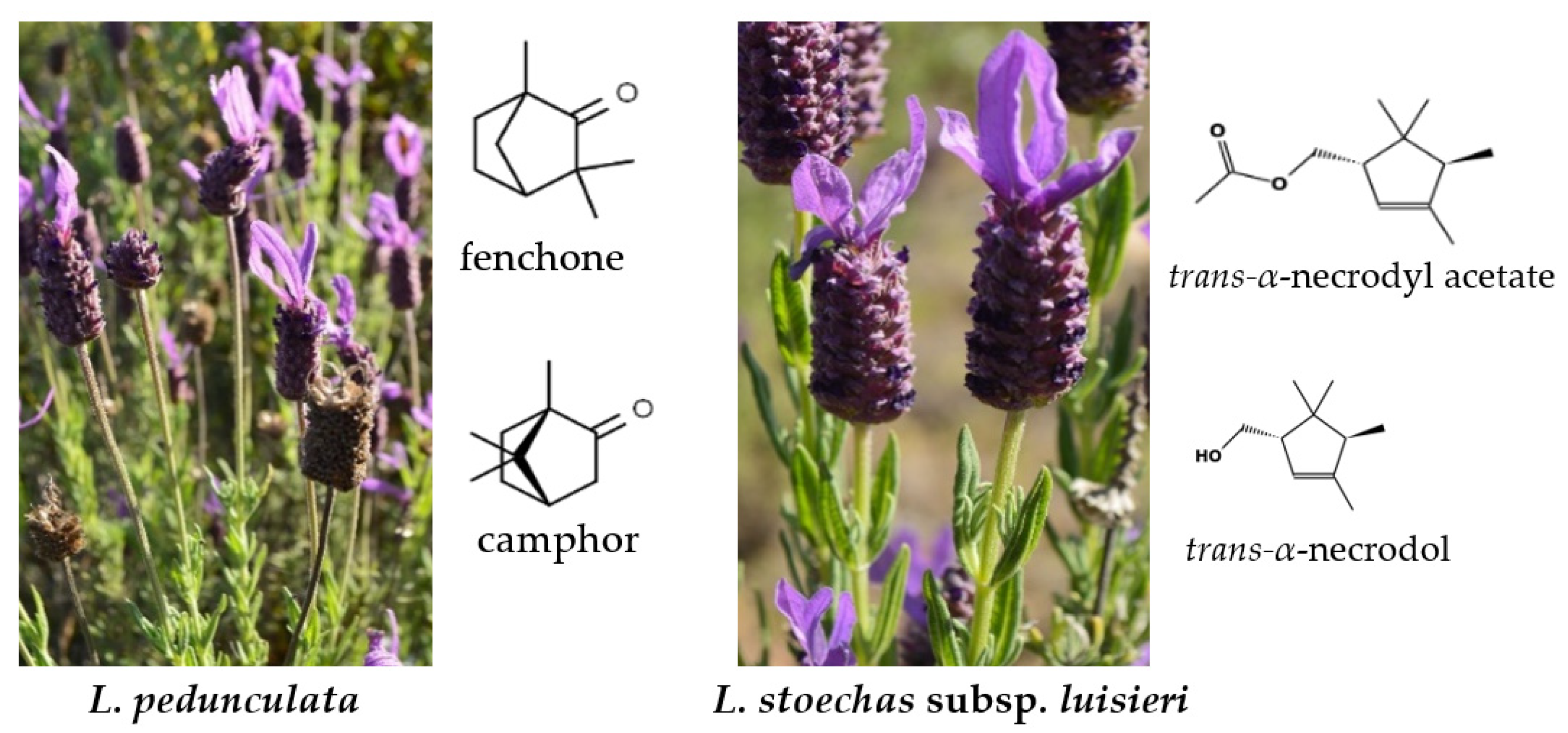 Processes 11 01165 g001 Processes 11 01165 g001