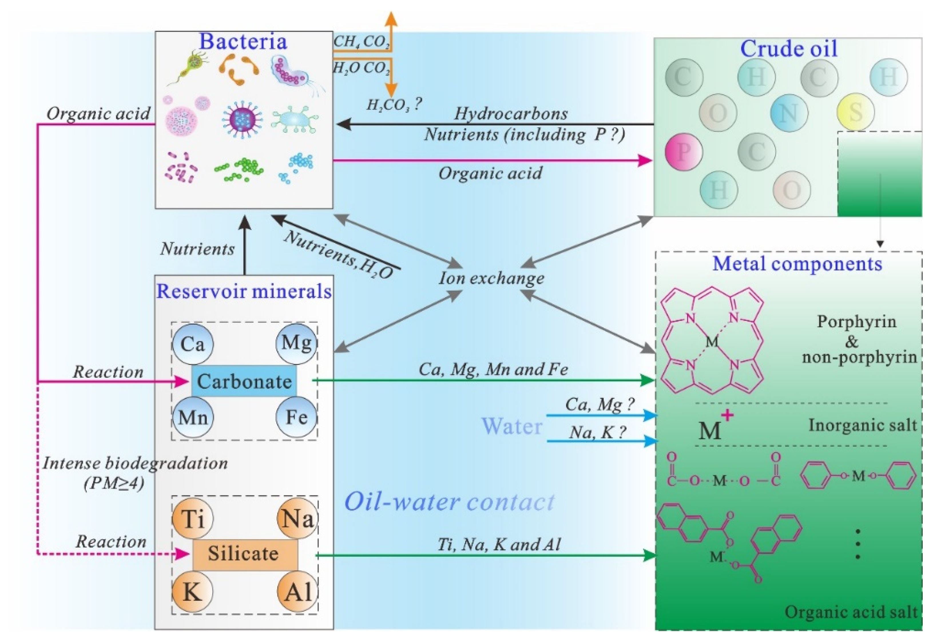 Processes 11 01176 g016