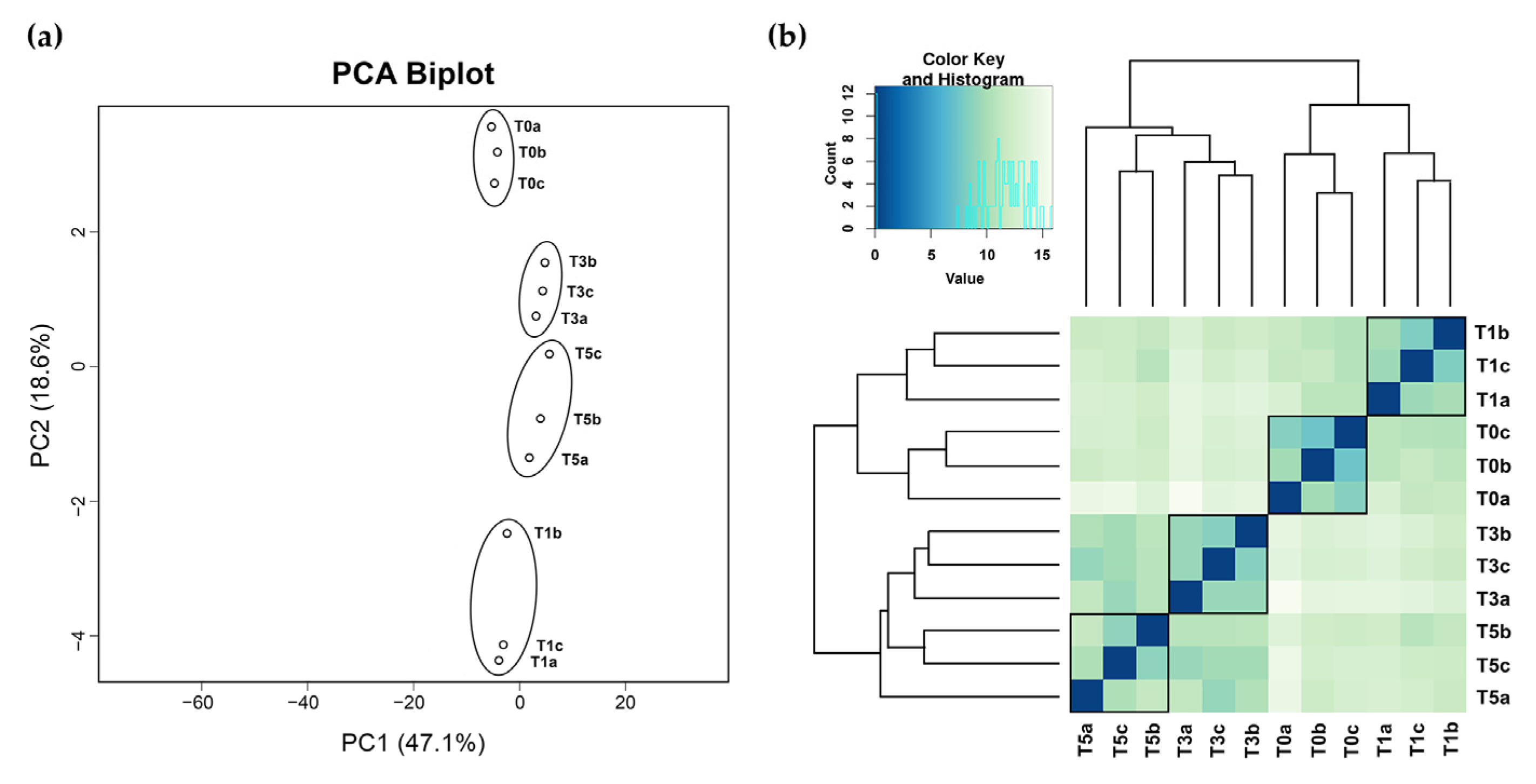Processes 11 01188 g005