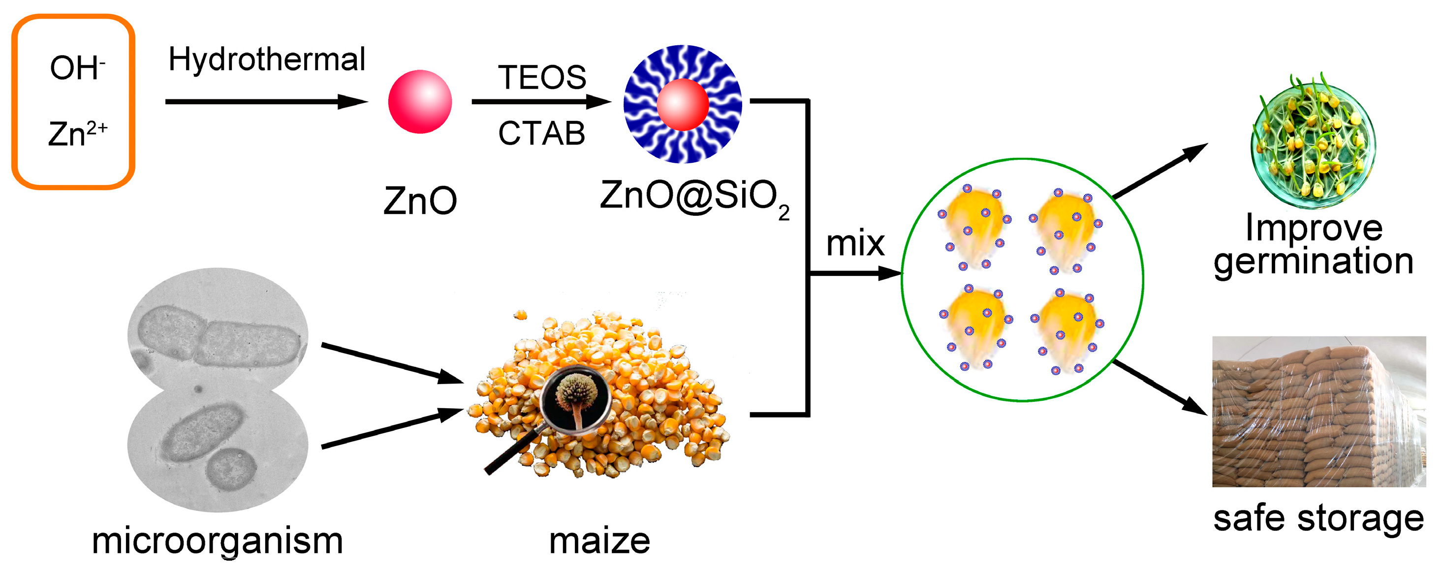 Processes 11 01193 g006 Processes 11 01193 g006