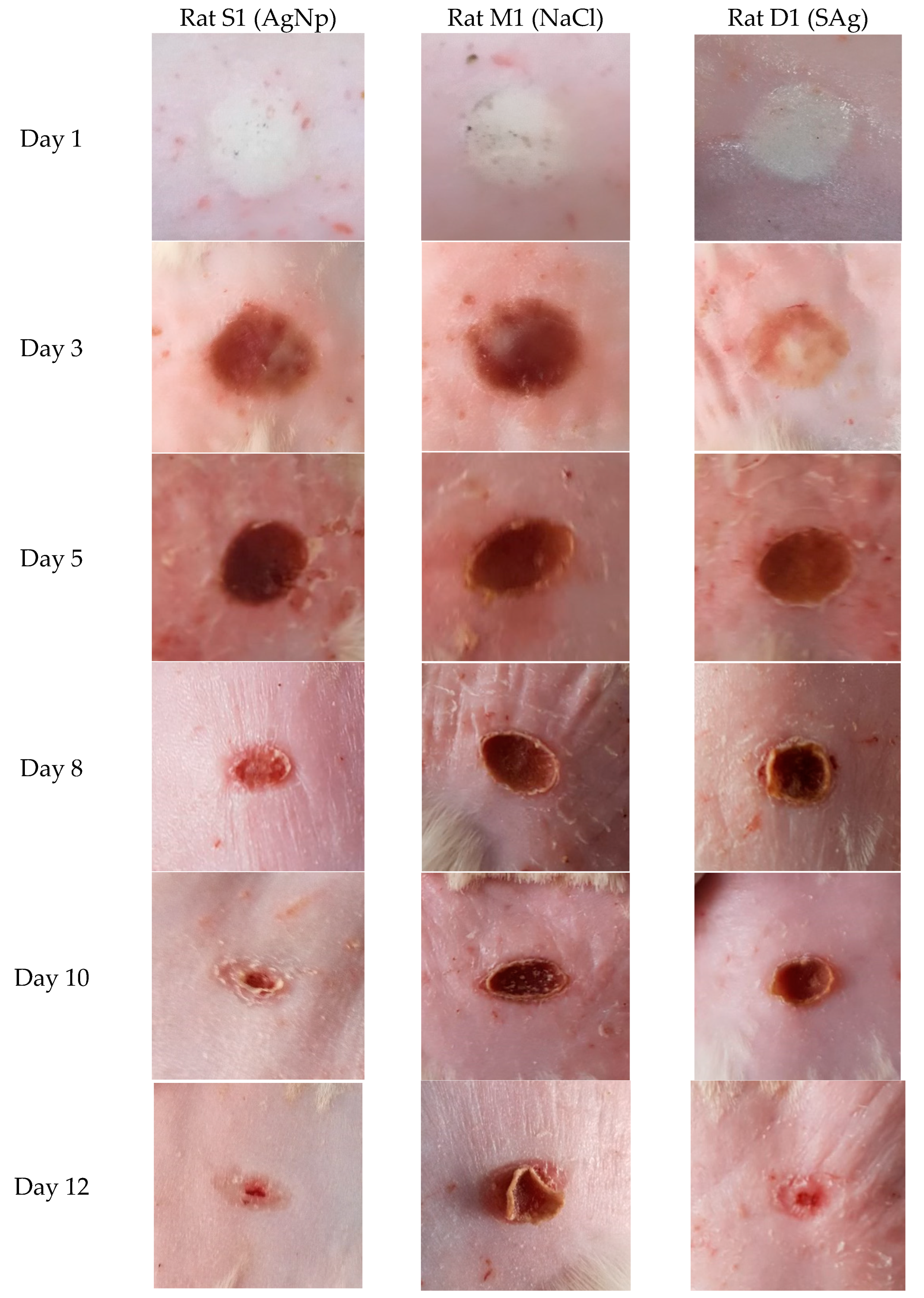 Processes 11 01212 g012 Processes 11 01212 g012