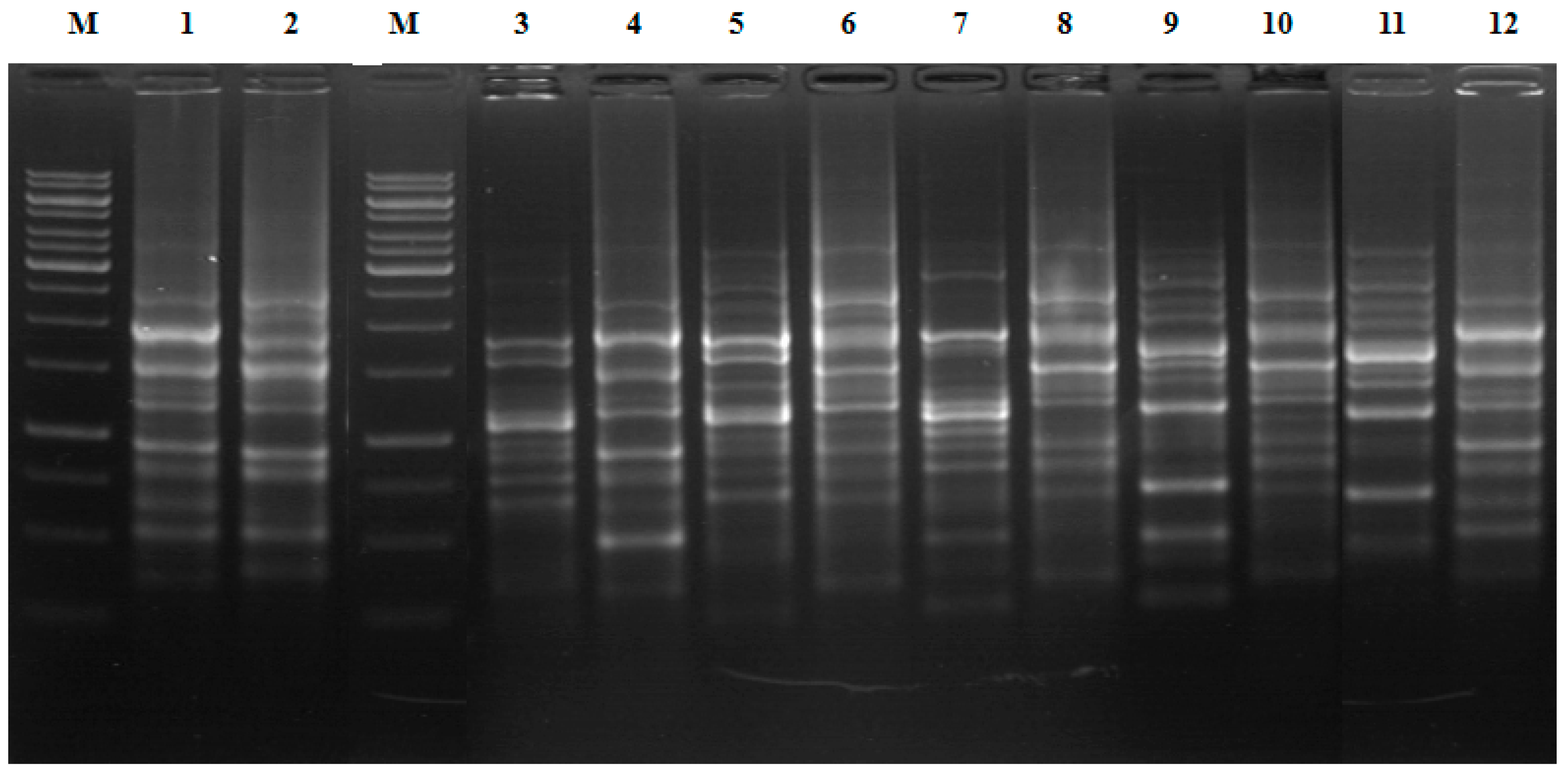 Processes 11 01222 g001 Processes 11 01222 g001