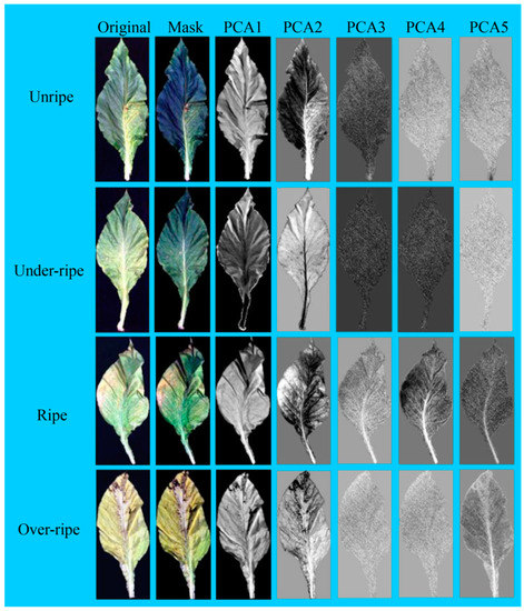 The Application of Hyperspectral Images in the