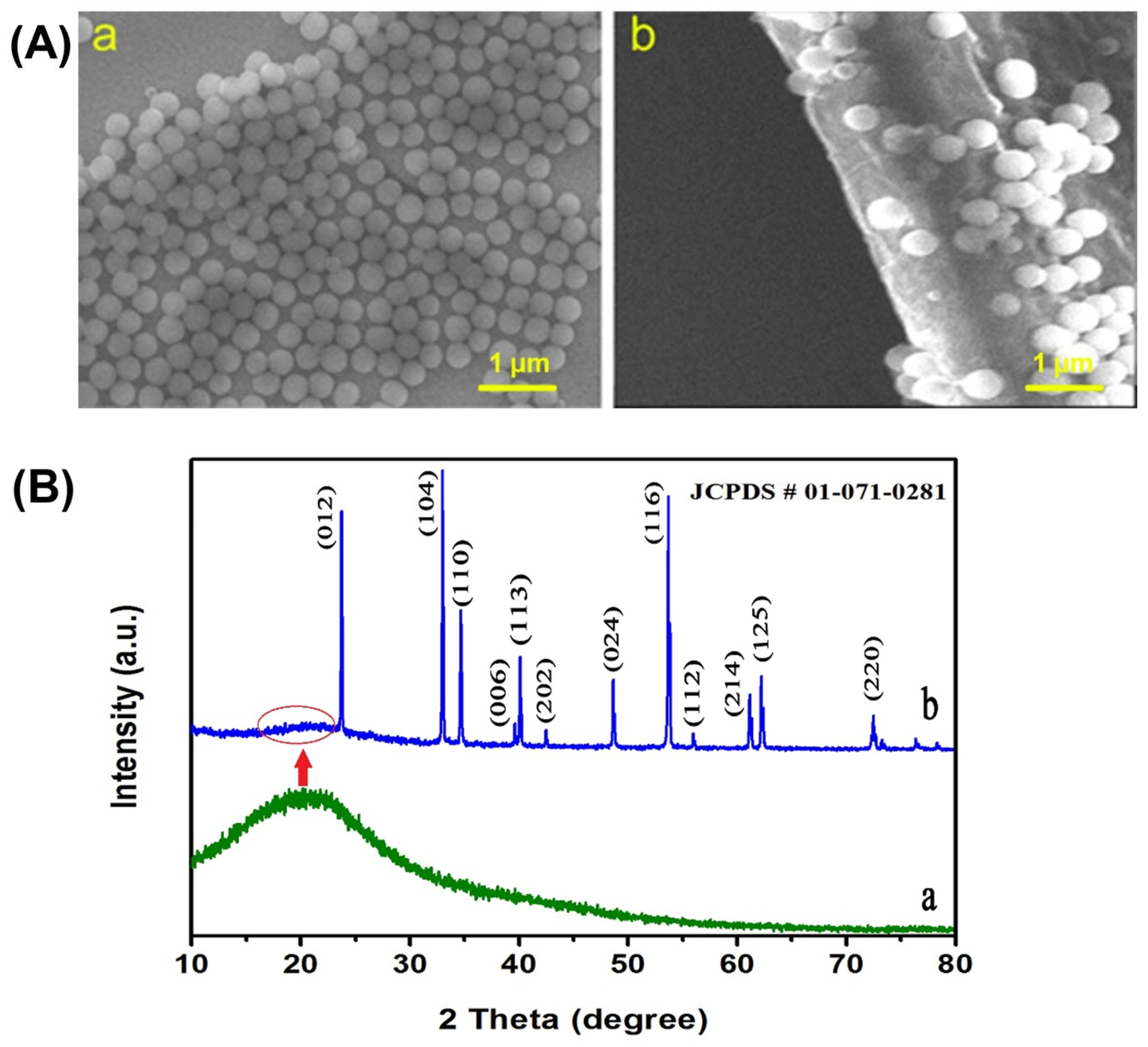Processes 11 01250 g001 Processes 11 01250 g001