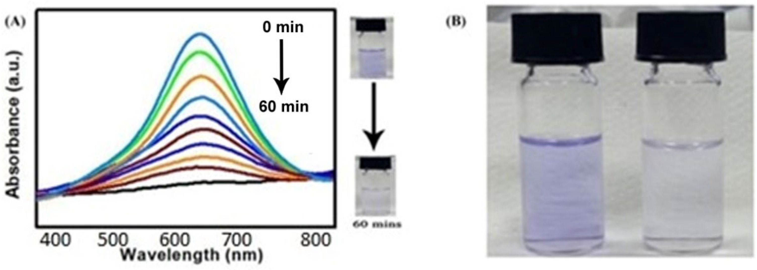 Processes 11 01250 g004 Processes 11 01250 g004