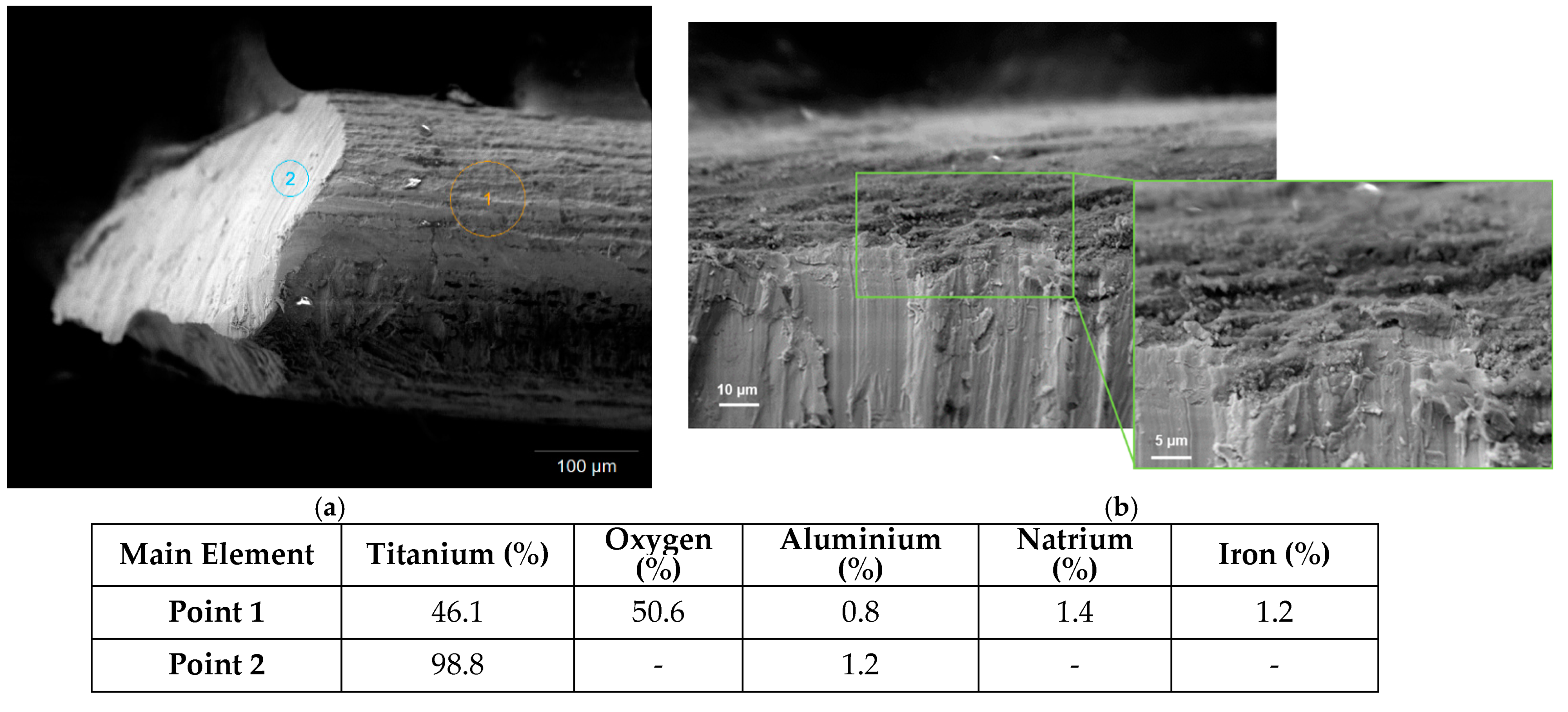 Processes 11 01260 g0a5 Processes 11 01260 g0a5