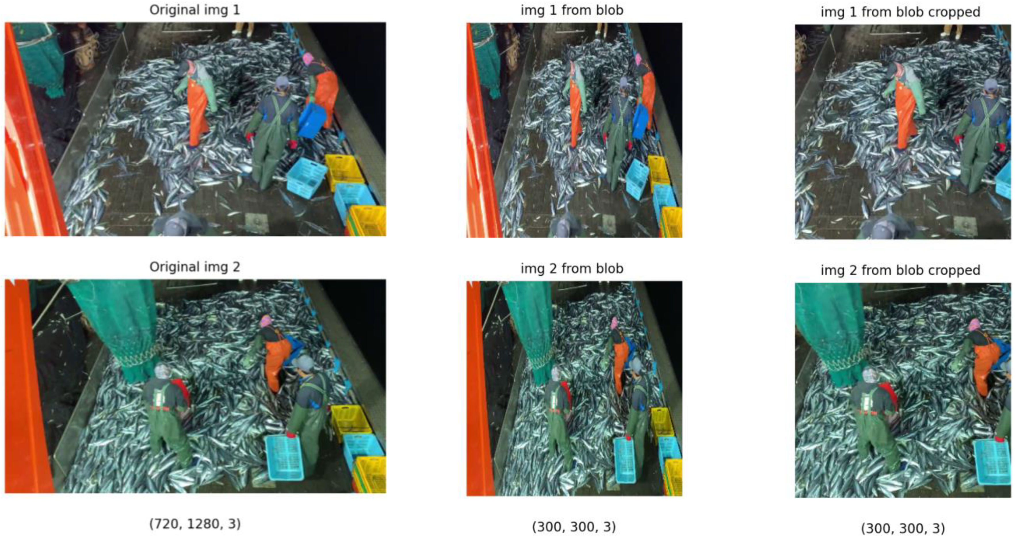 Processes 11 01261 g003 Processes 11 01261 g003