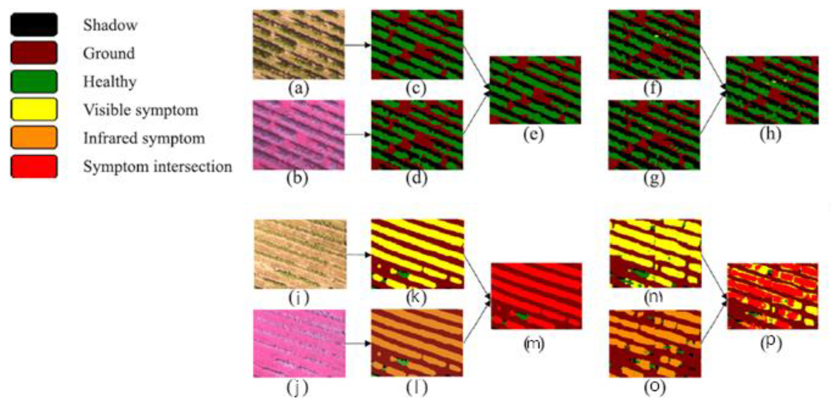 Processes 11 01263 g005