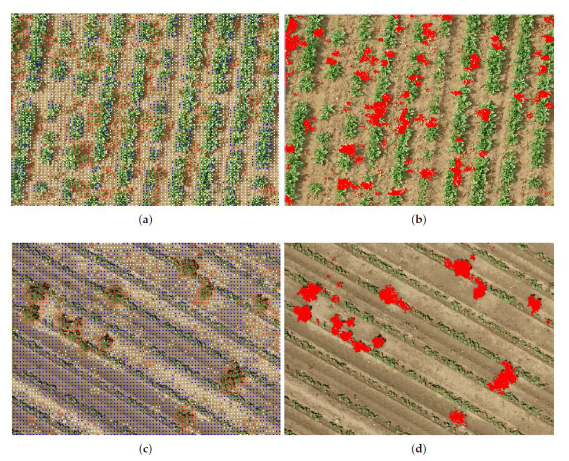 Processes 11 01263 g012