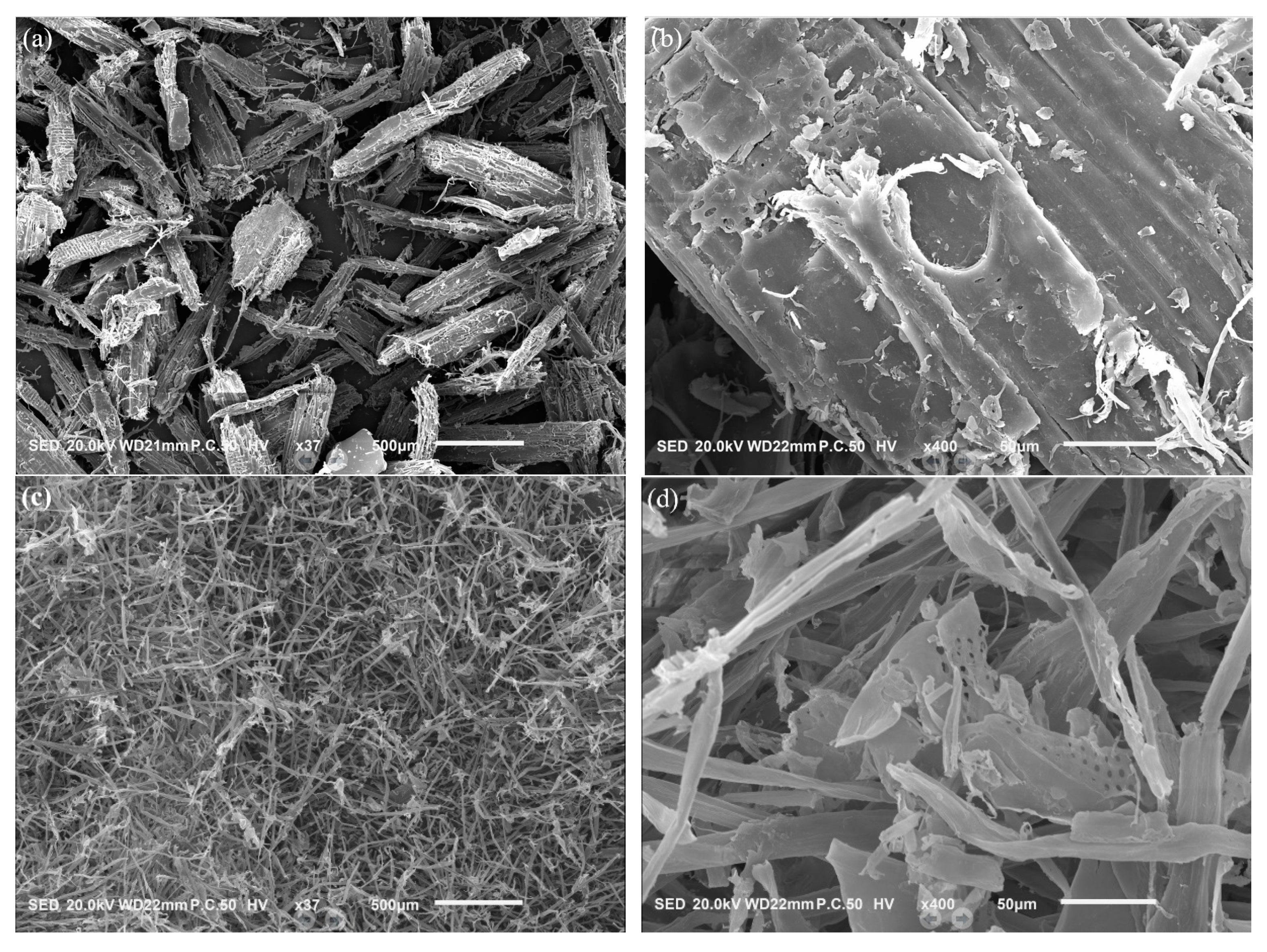 Processes 11 01293 g013 Processes 11 01293 g013