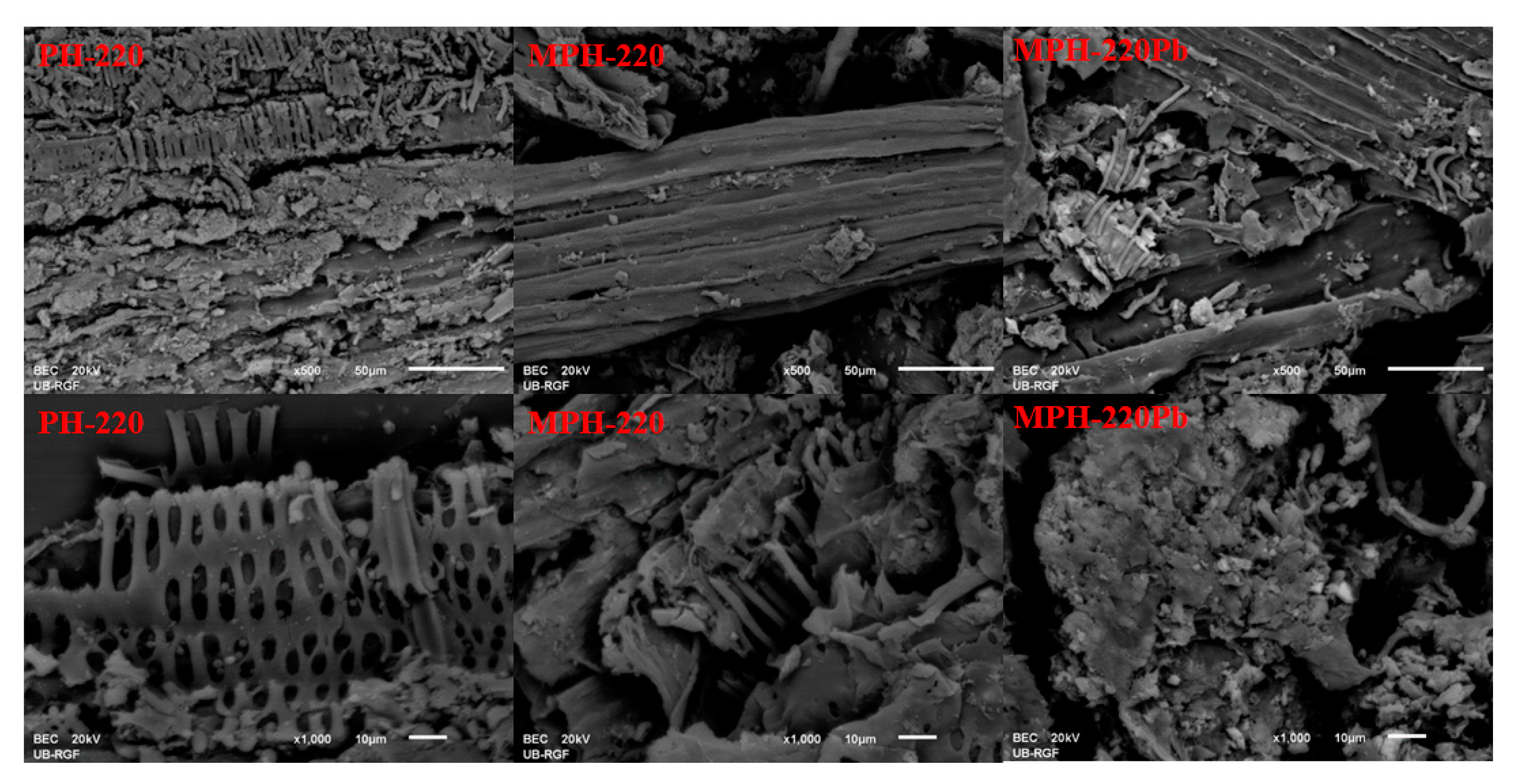 Processes 11 01327 g005 Processes 11 01327 g005