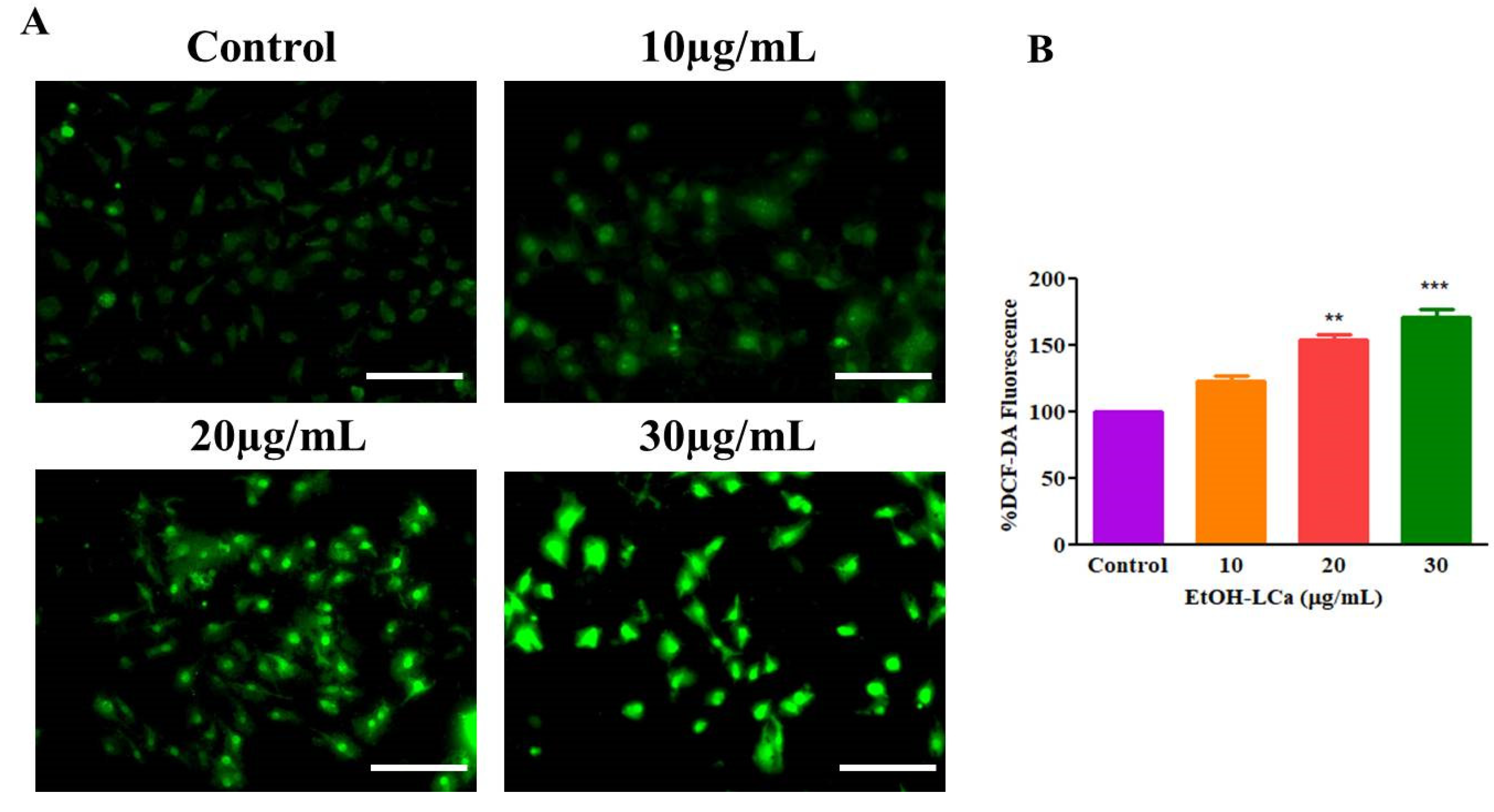 Processes 11 01332 g004 Processes 11 01332 g004