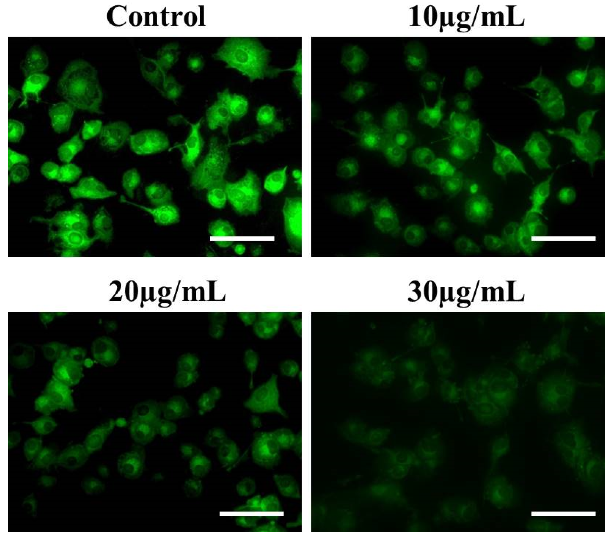 Processes 11 01332 g007 Processes 11 01332 g007