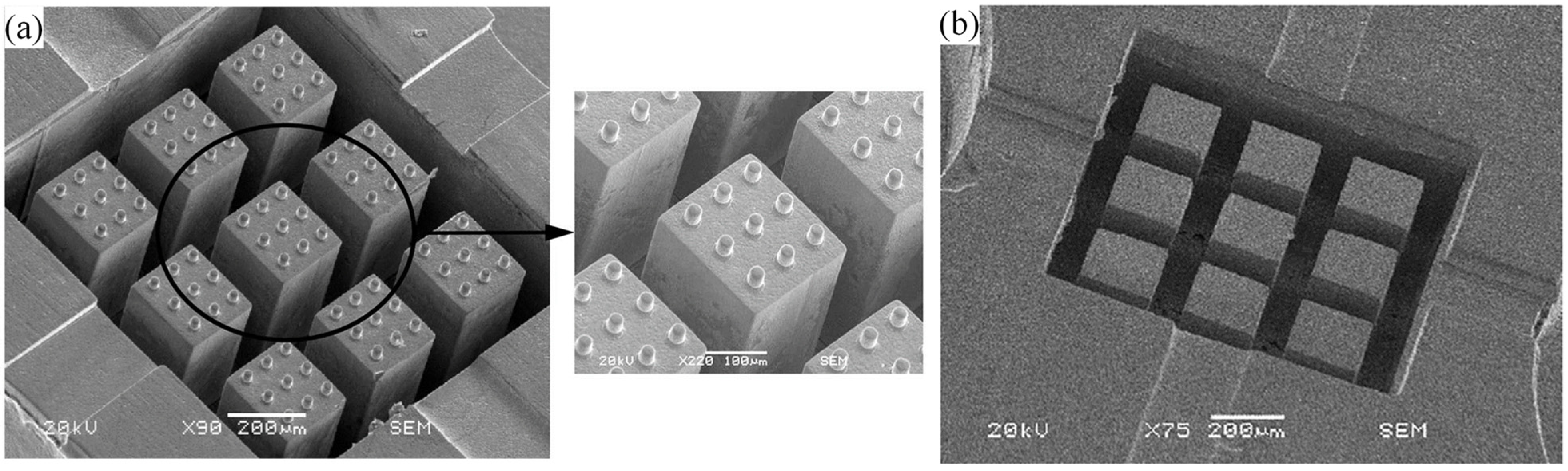 Processes 11 01337 g010
