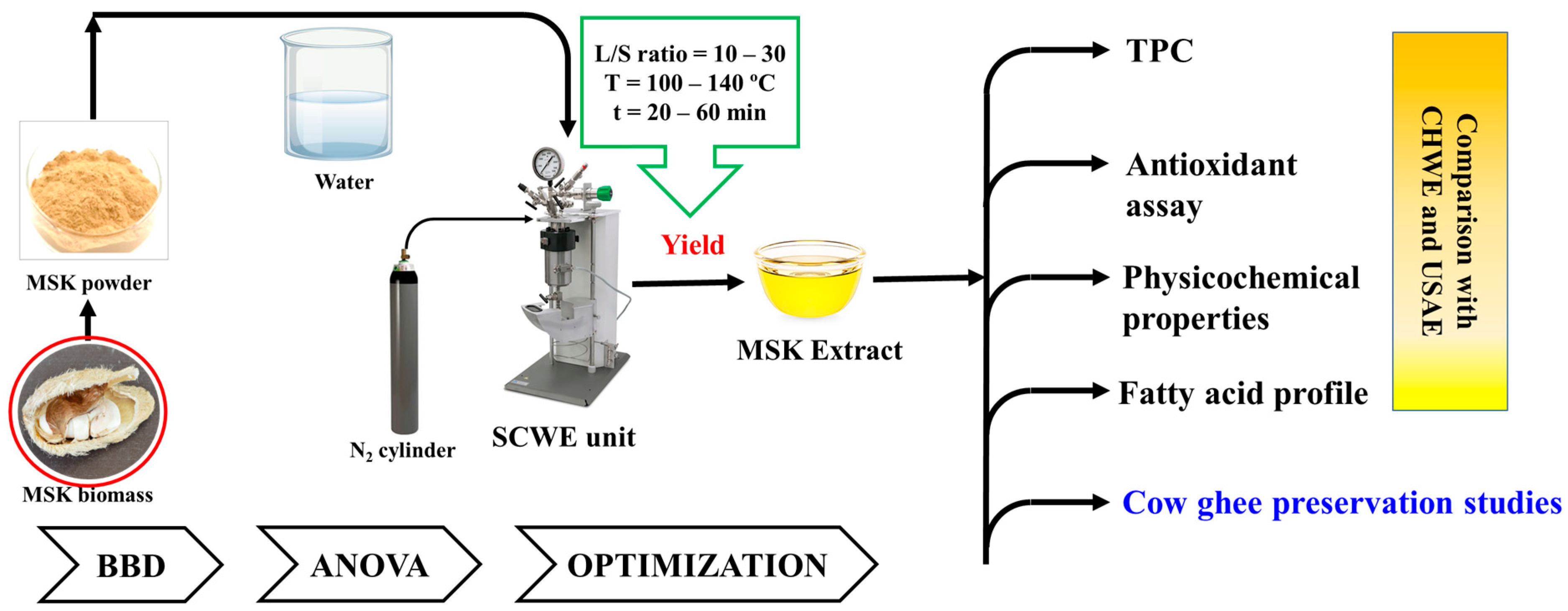 Processes Free FullText Subcritical Water Extraction of Mango Seed