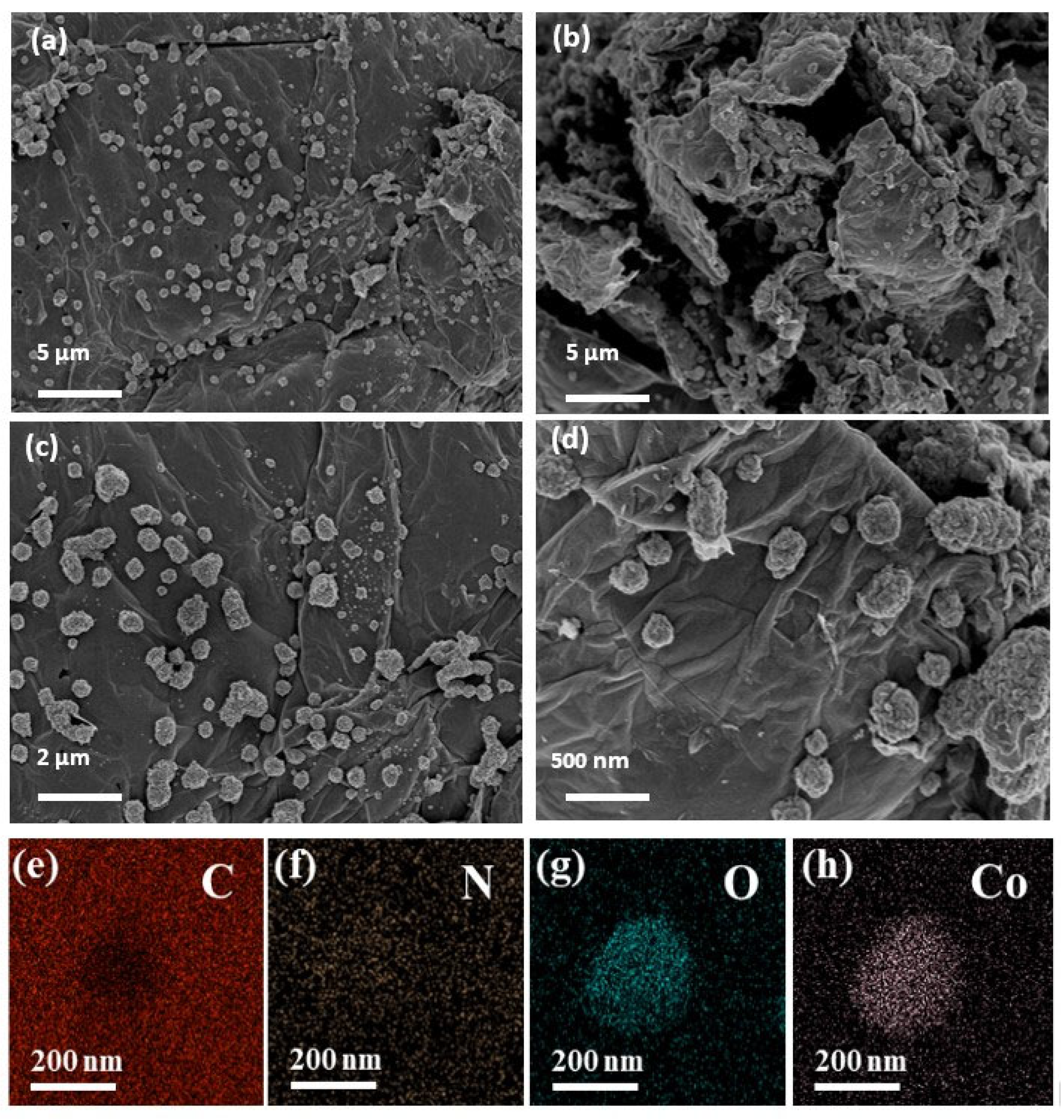 Processes 11 01381 g001