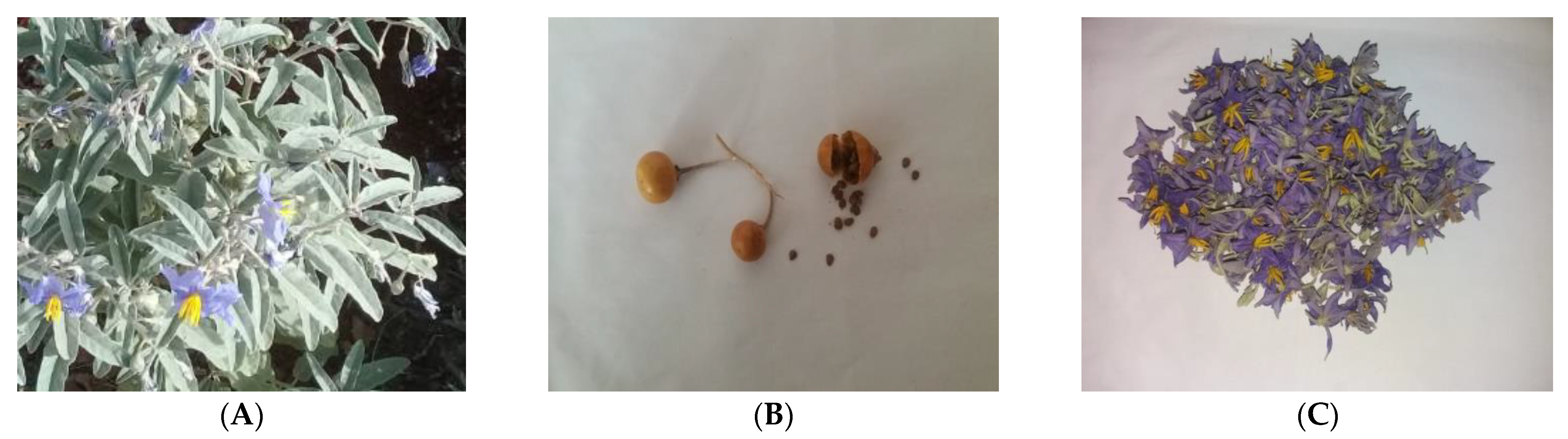 Processes 11 01384 g001 Processes 11 01384 g001