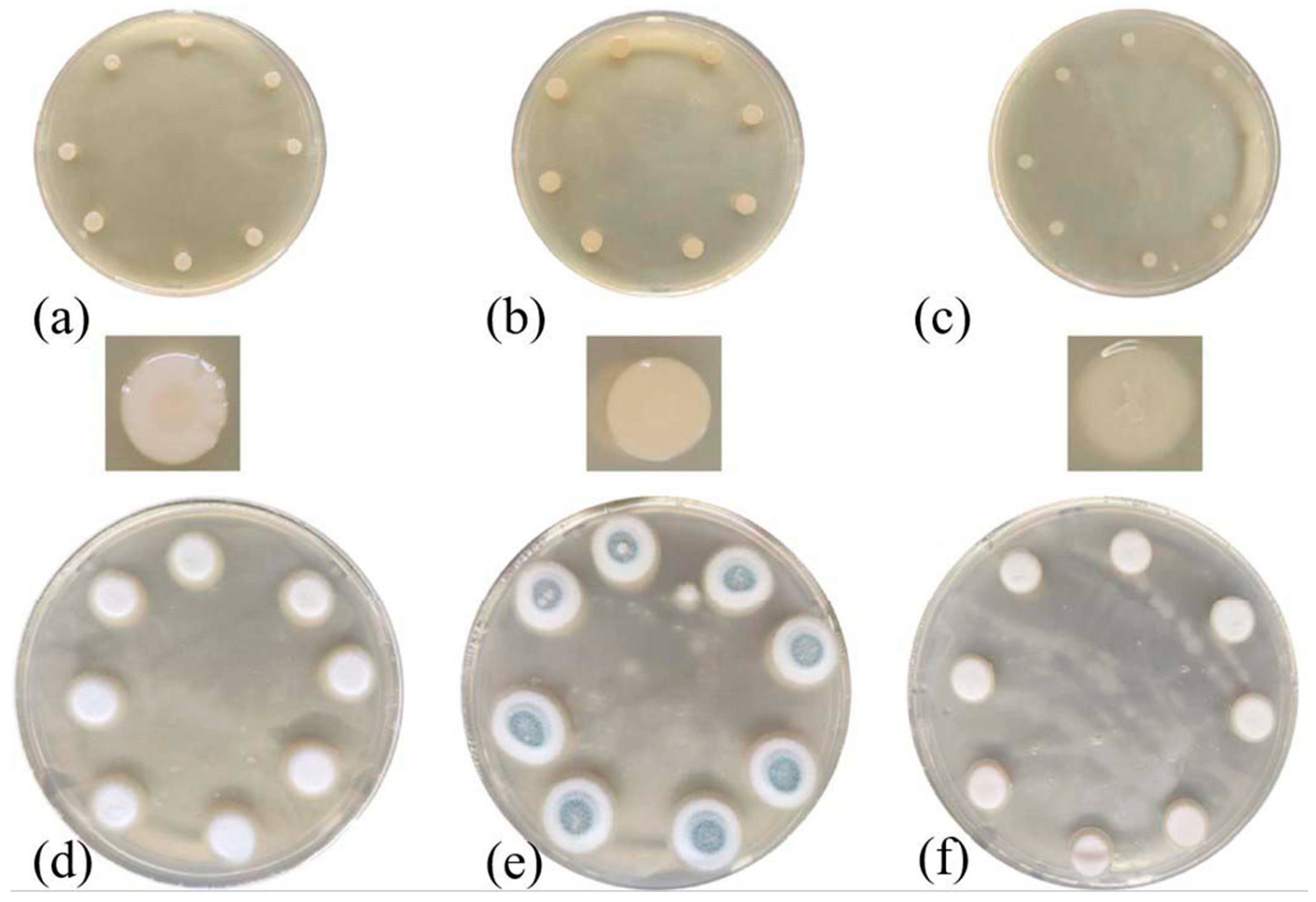 Processes 11 01403 g001 Processes 11 01403 g001