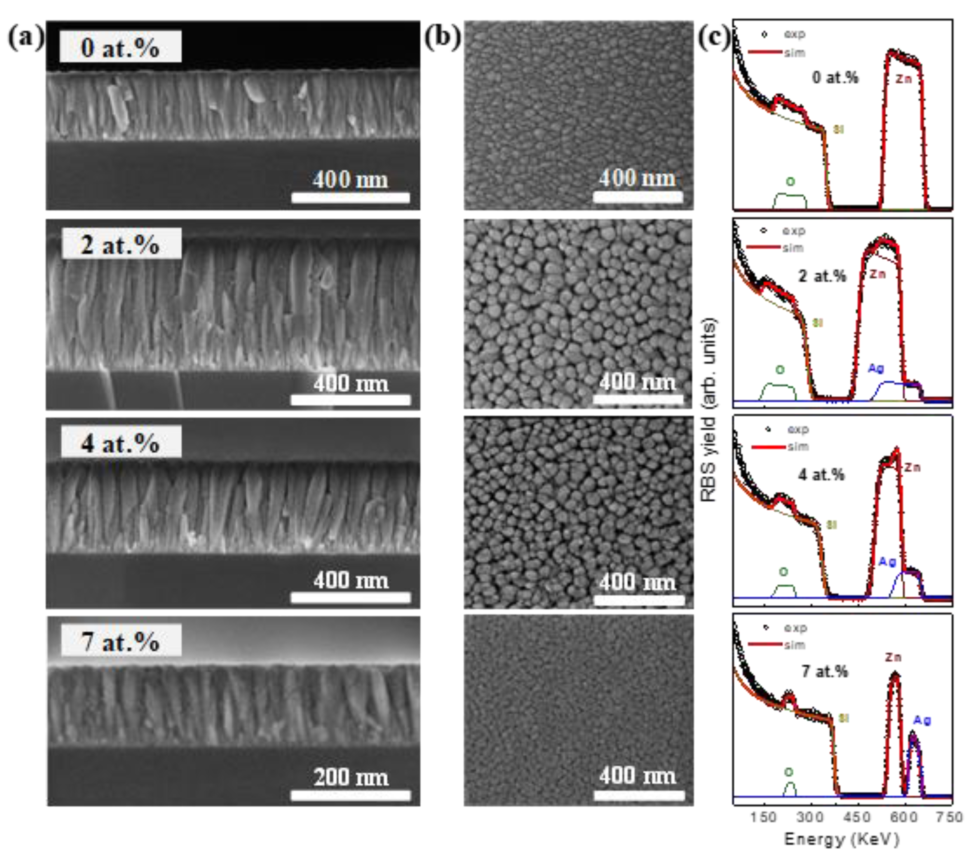Processes 11 01428 g005 Processes 11 01428 g005