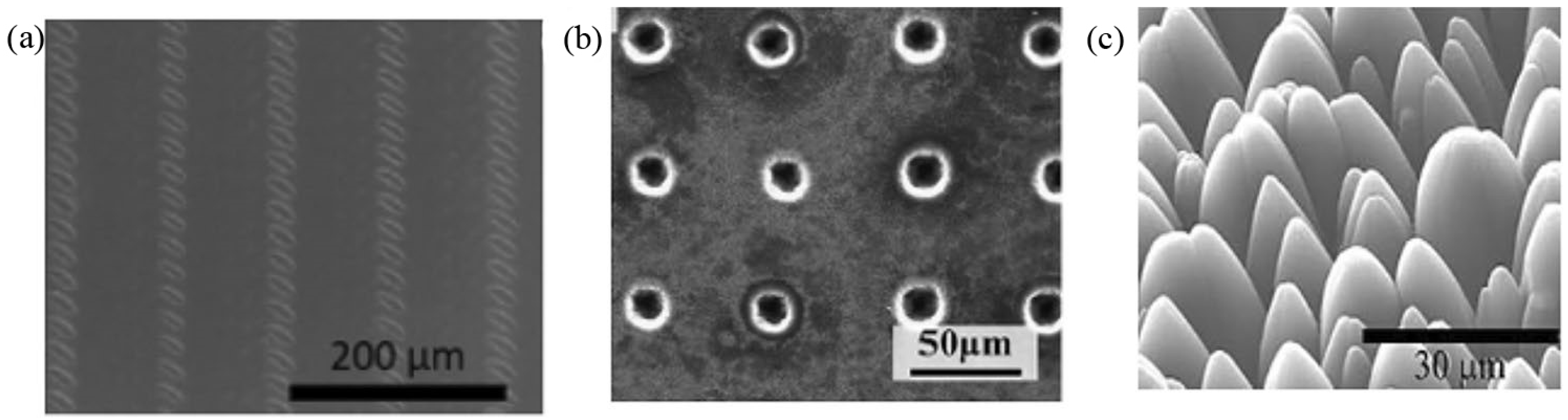 Processes 11 01445 g012 Processes 11 01445 g012