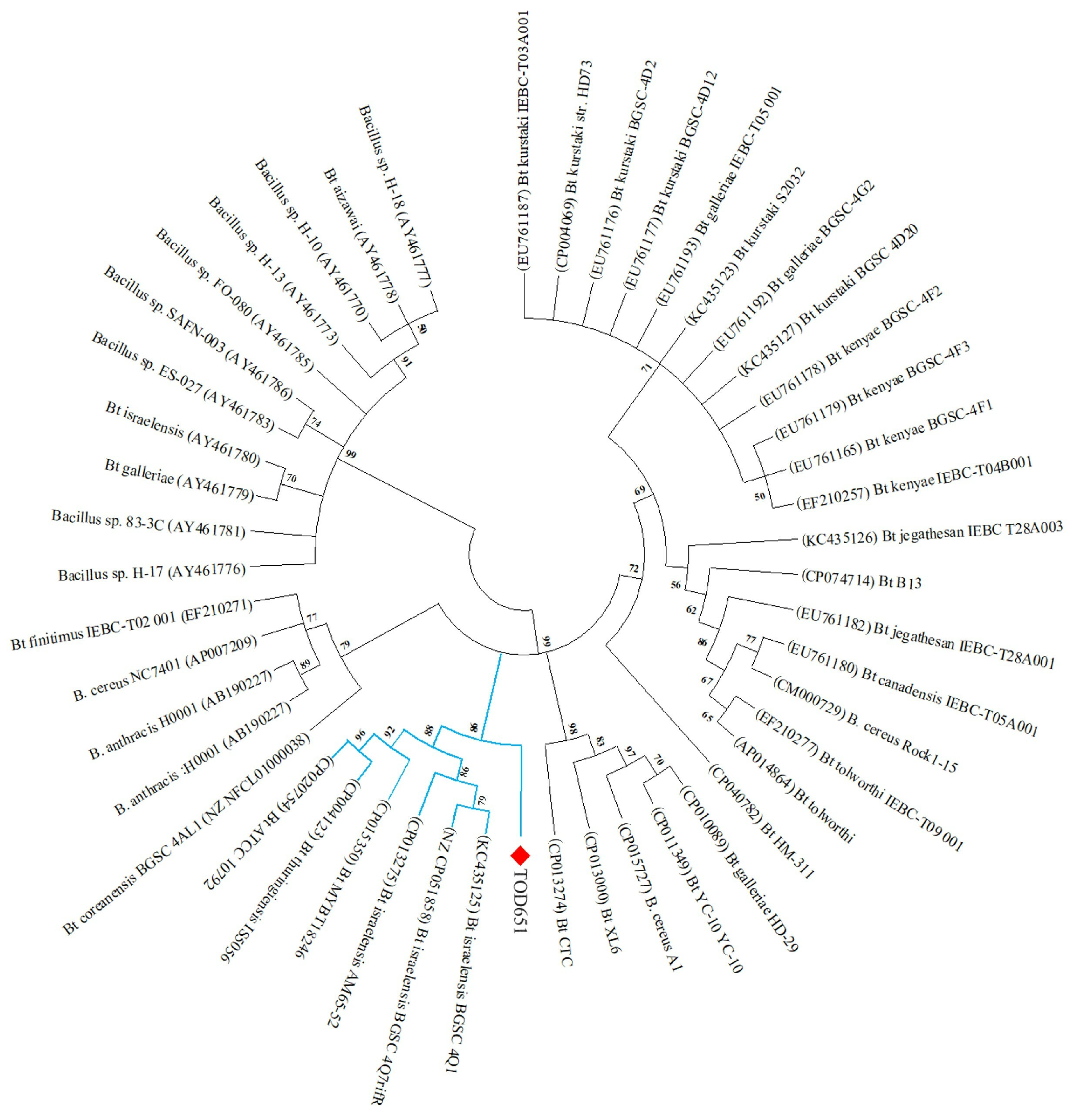 Processes 11 01455 g003 Processes 11 01455 g003