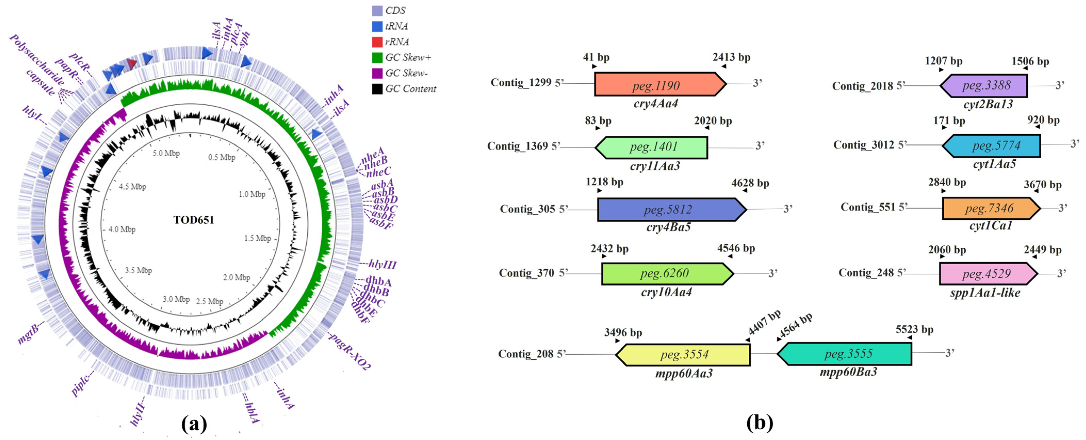 Processes 11 01455 g004 Processes 11 01455 g004