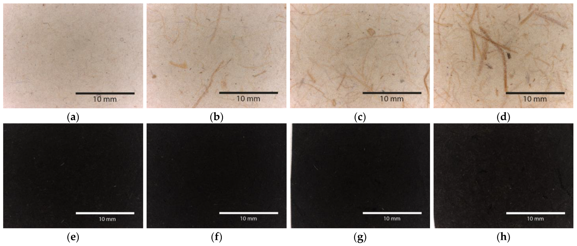 Processes 11 01465 g001 Processes 11 01465 g001