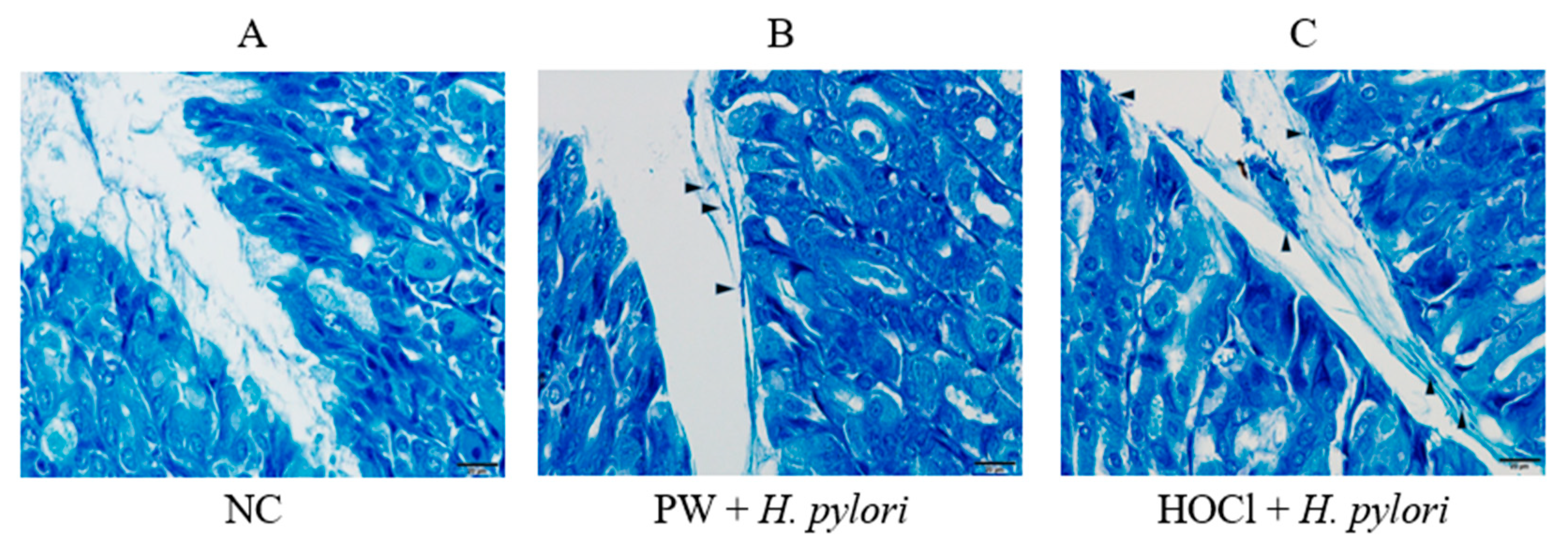 Processes 11 01474 g002 Processes 11 01474 g002
