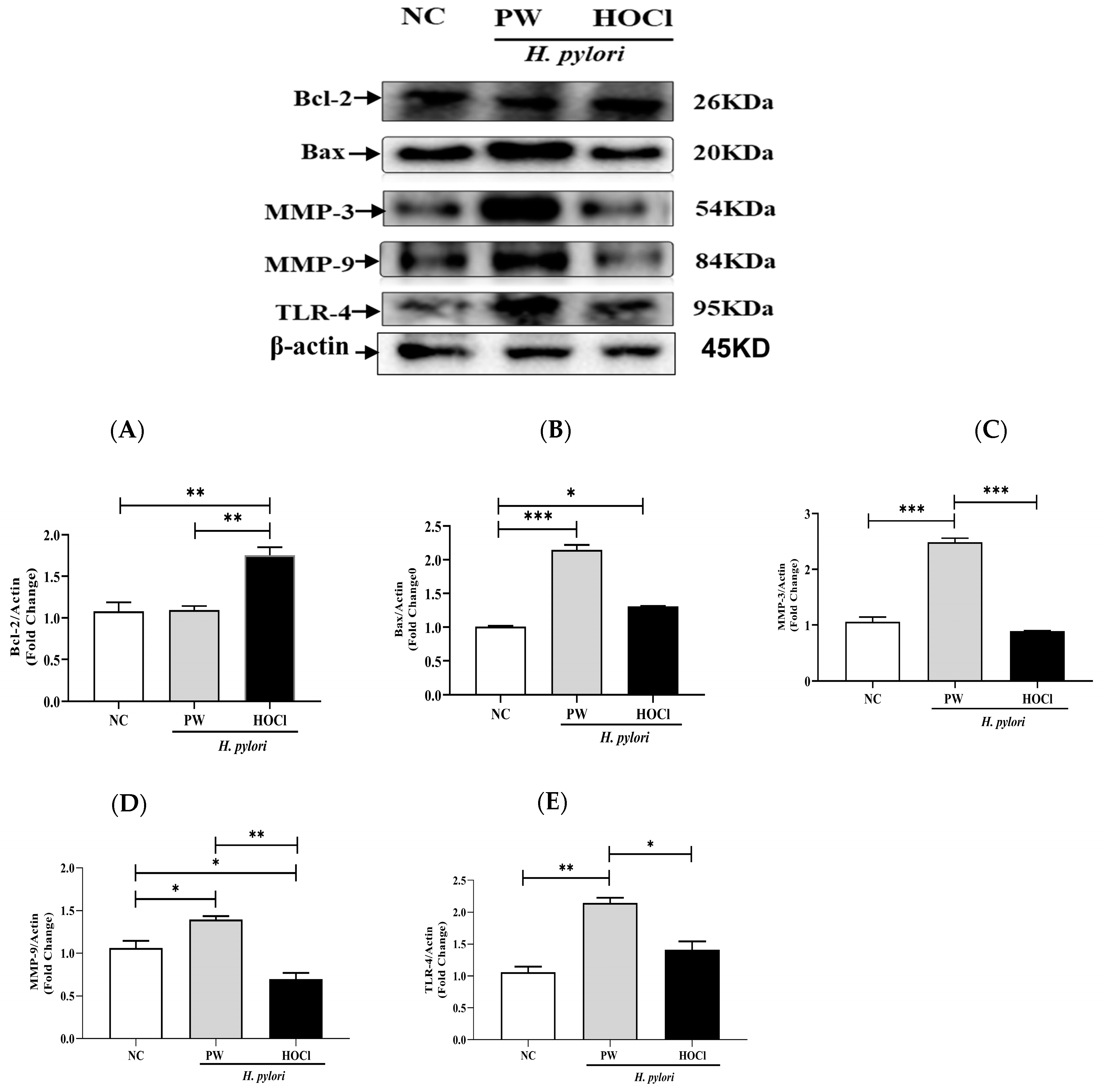 Processes 11 01474 g007 Processes 11 01474 g007