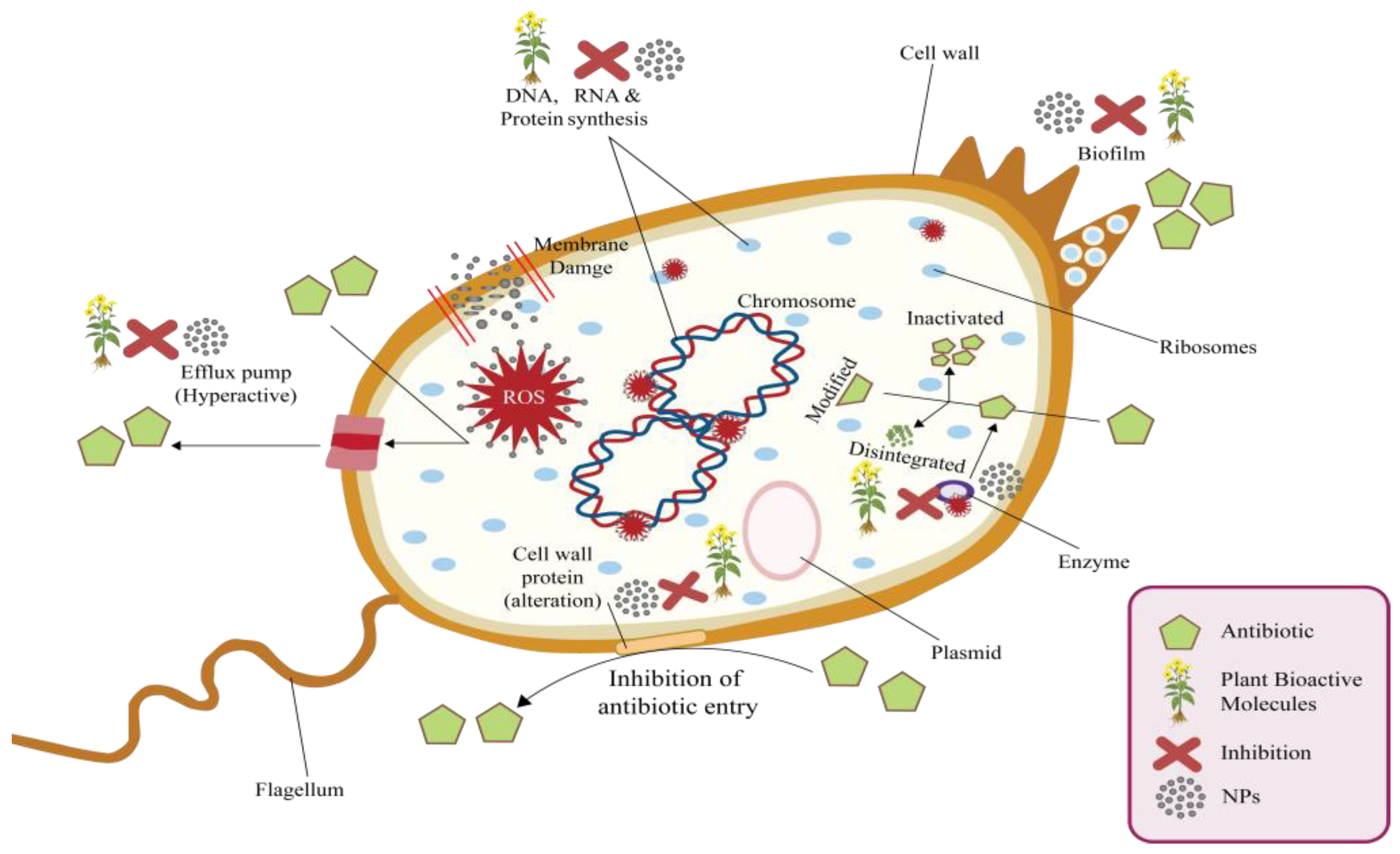 Processes 11 01479 g007 Processes 11 01479 g007