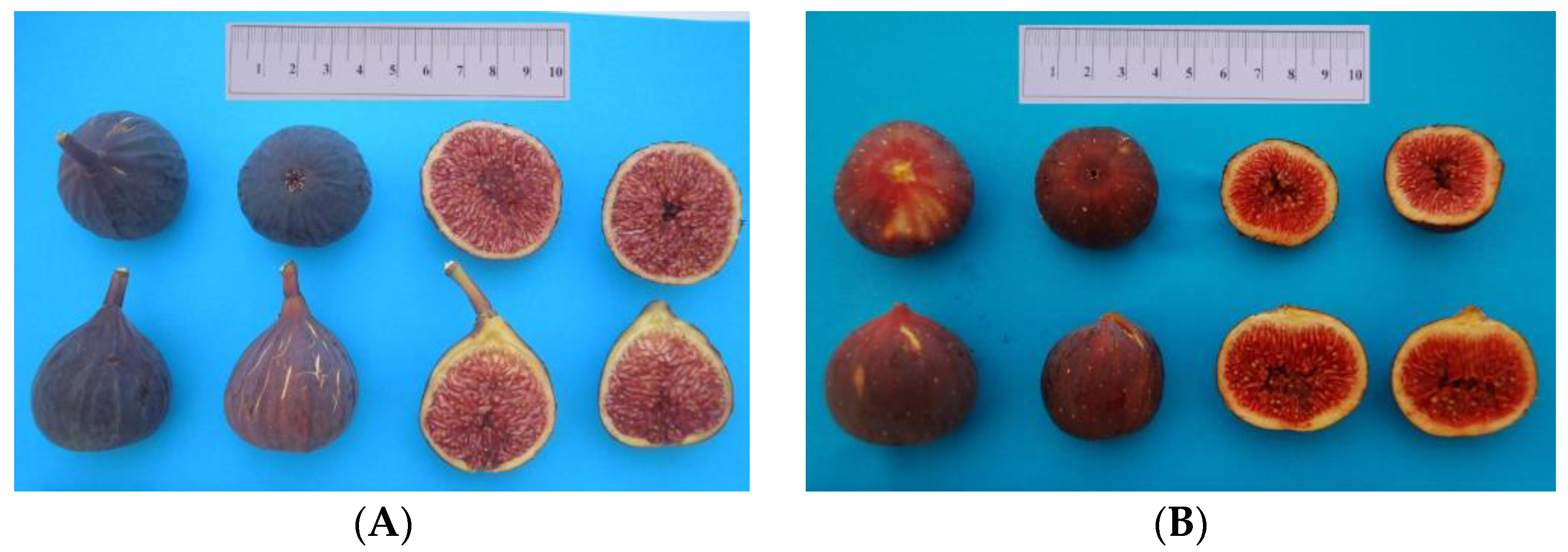 Processes 11 01485 g001a Processes 11 01485 g001a