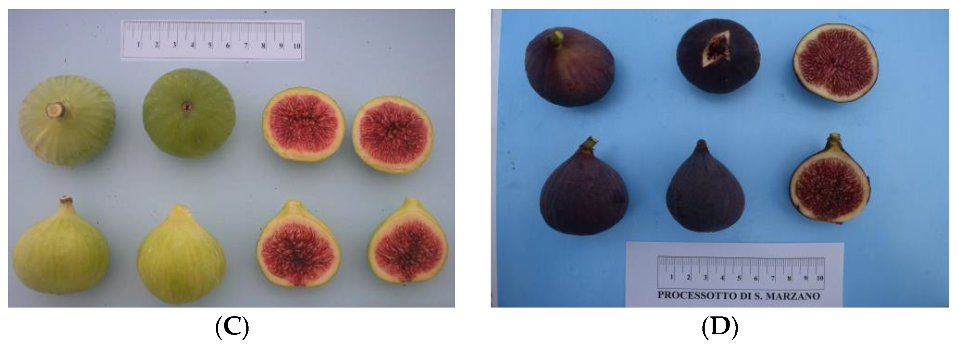 Processes 11 01485 g001b Processes 11 01485 g001b