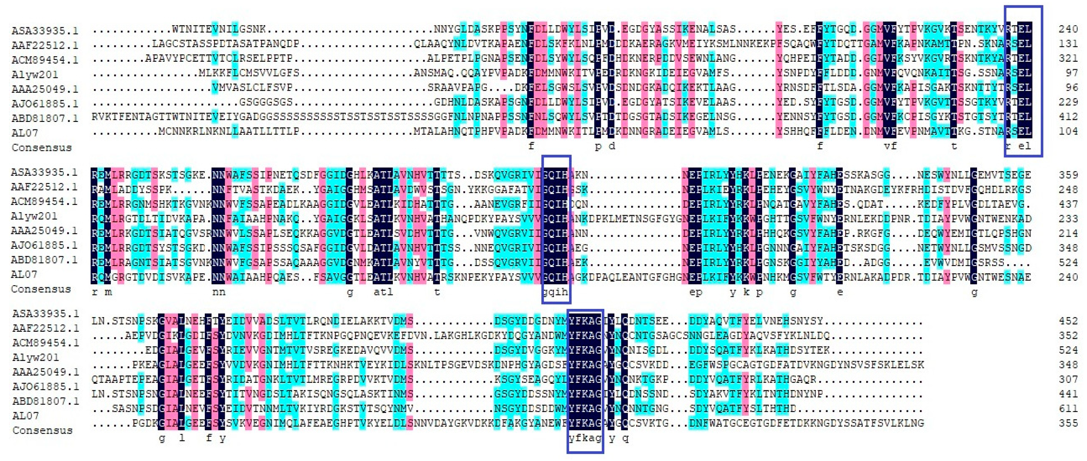 Processes 11 01495 g001